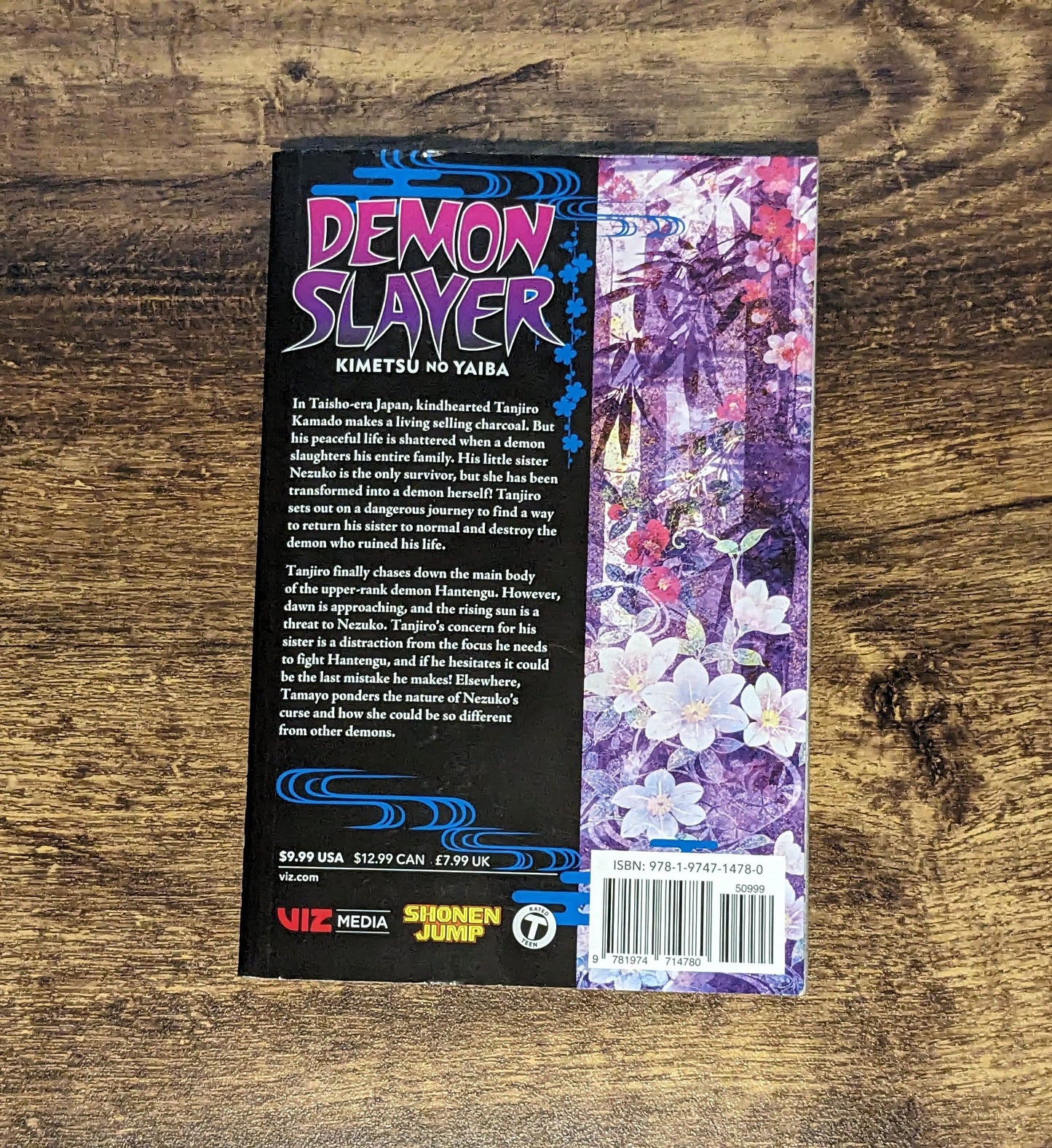 Demon Slayer (Volume 15) Kimetsu no Yaiba - Paperback