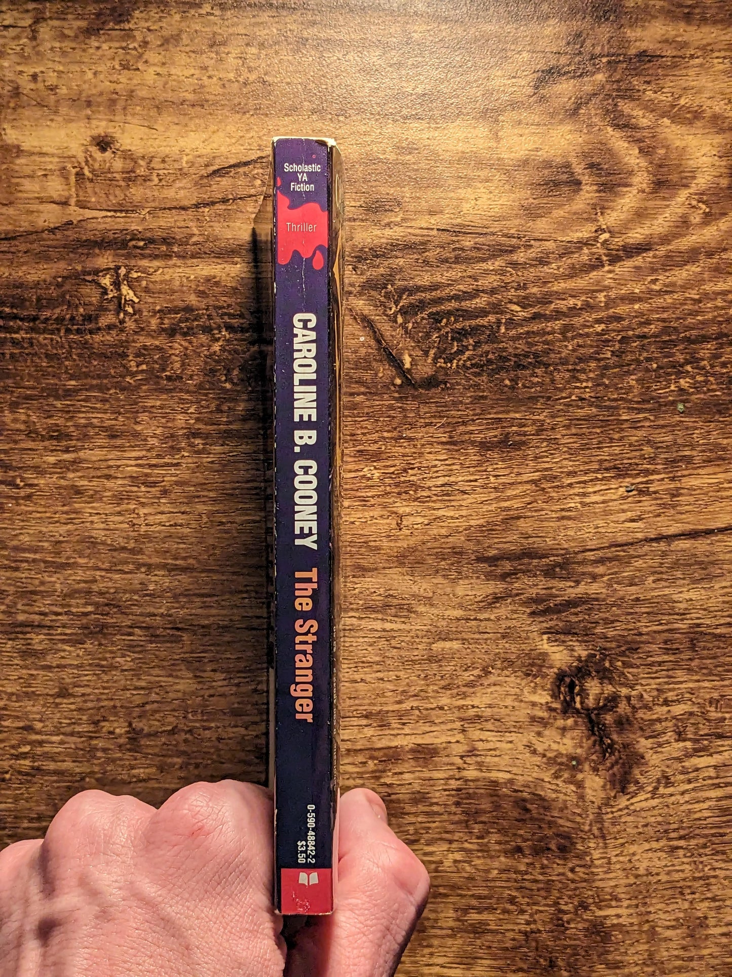 Stranger, The (Vintage Point Horror) by Caroline B. Cooney