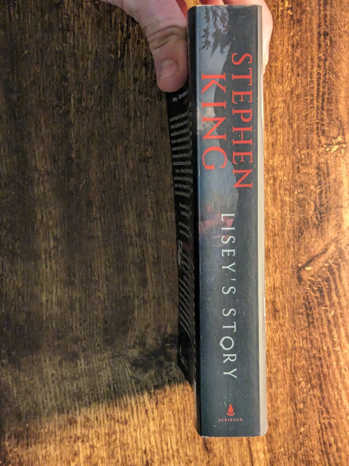 Lisey's Story (Paperback) by Stephen King