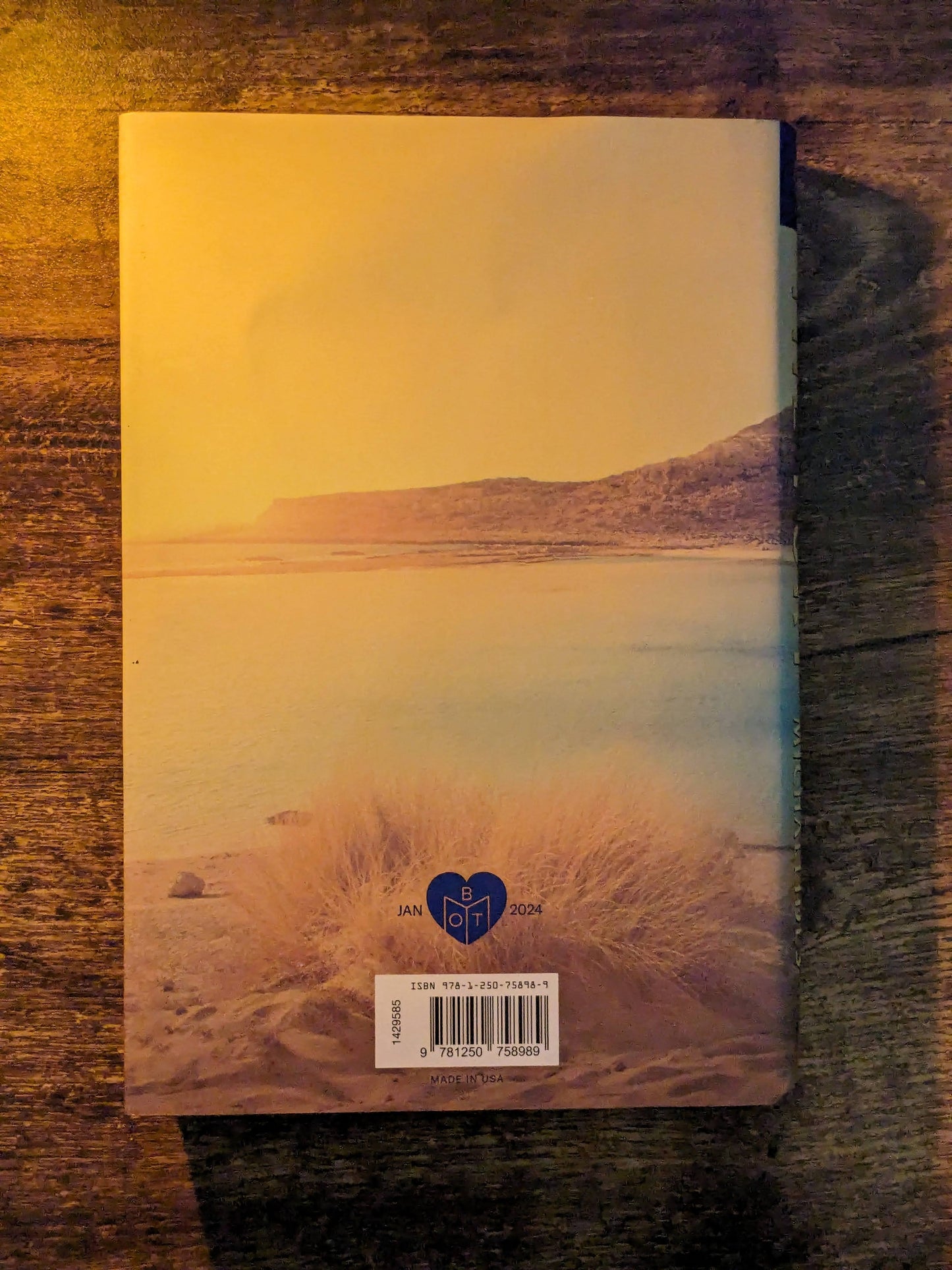 Fury, The (First Edition Hardcover) by Alex Michaelides