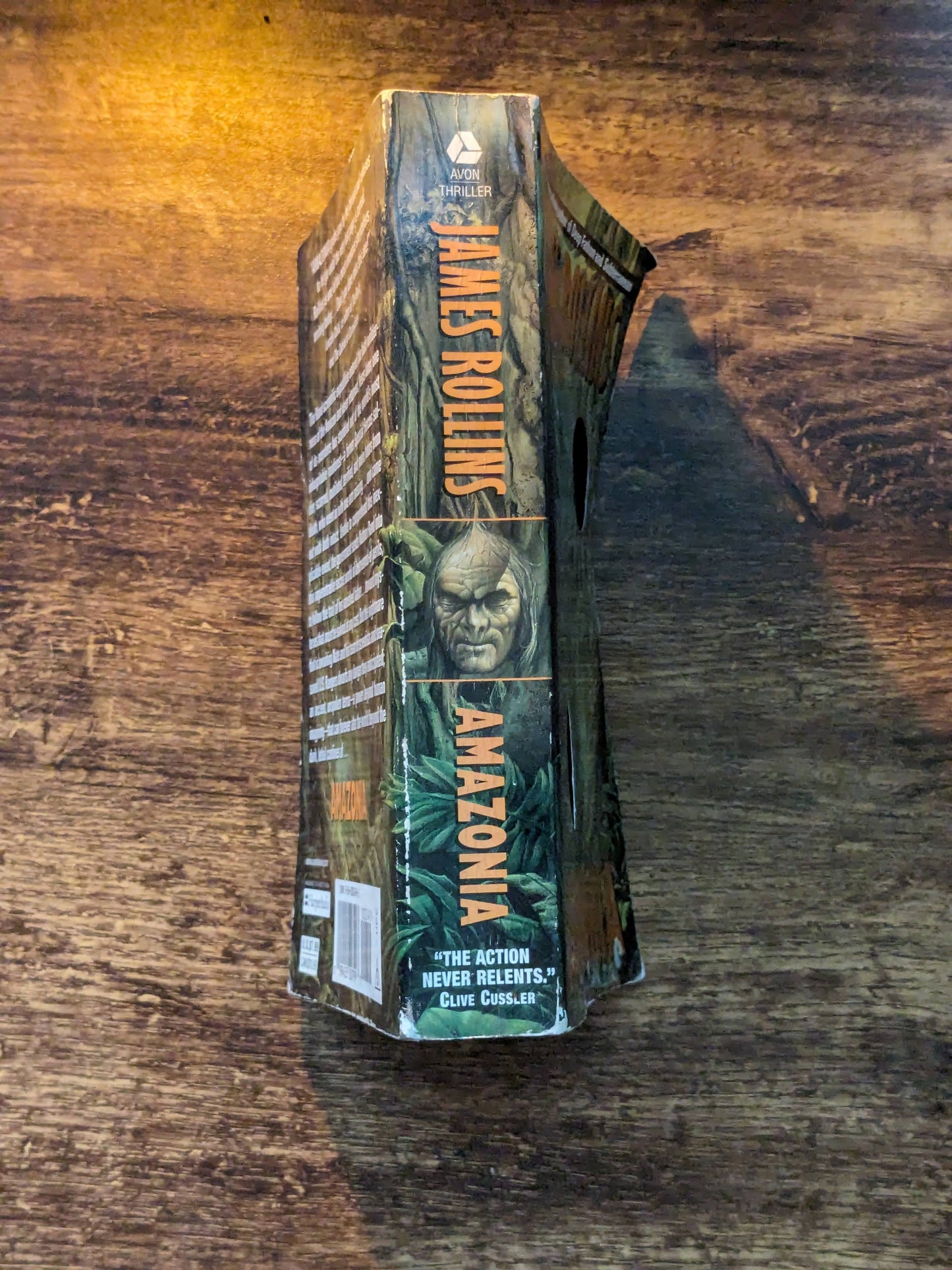 Amazonia (Vintage Paperback) by James Rollins