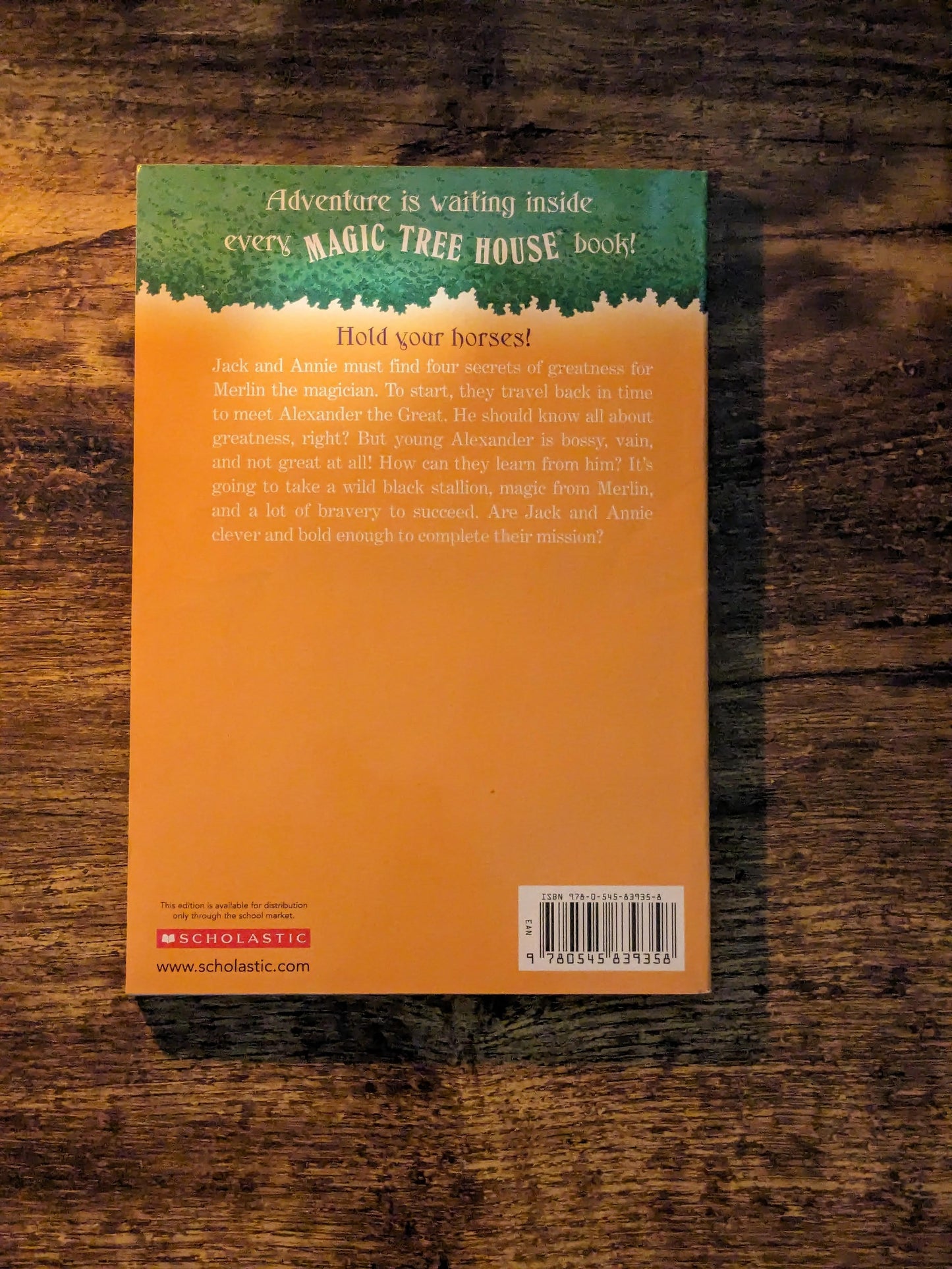 Stallion by Starlight (Magic Tree House #49) by Mary Pope Osborne - A Merlin Mission