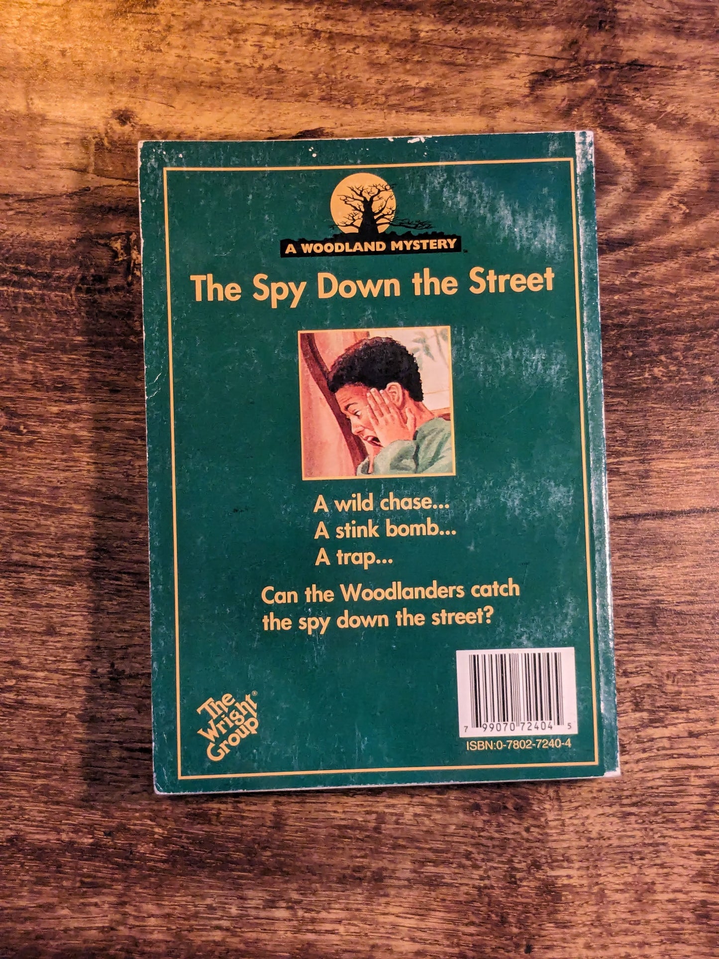 Spy Down the Street, The (A Woodland Mystery) by Irene Schultz - Vintage Paperback