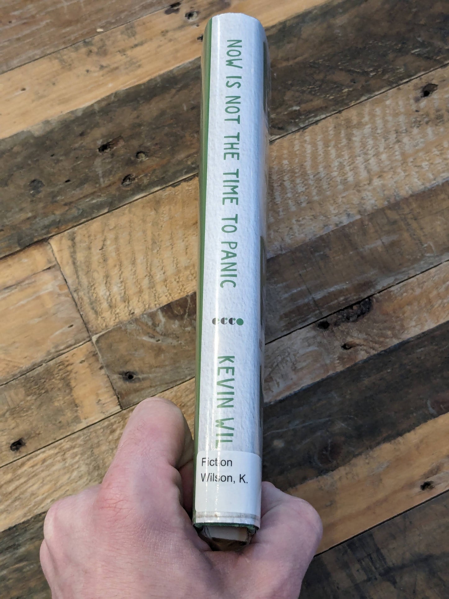 Now Is Not the Time to Panic: A Novel (Hardcover) by Kevin Wilson