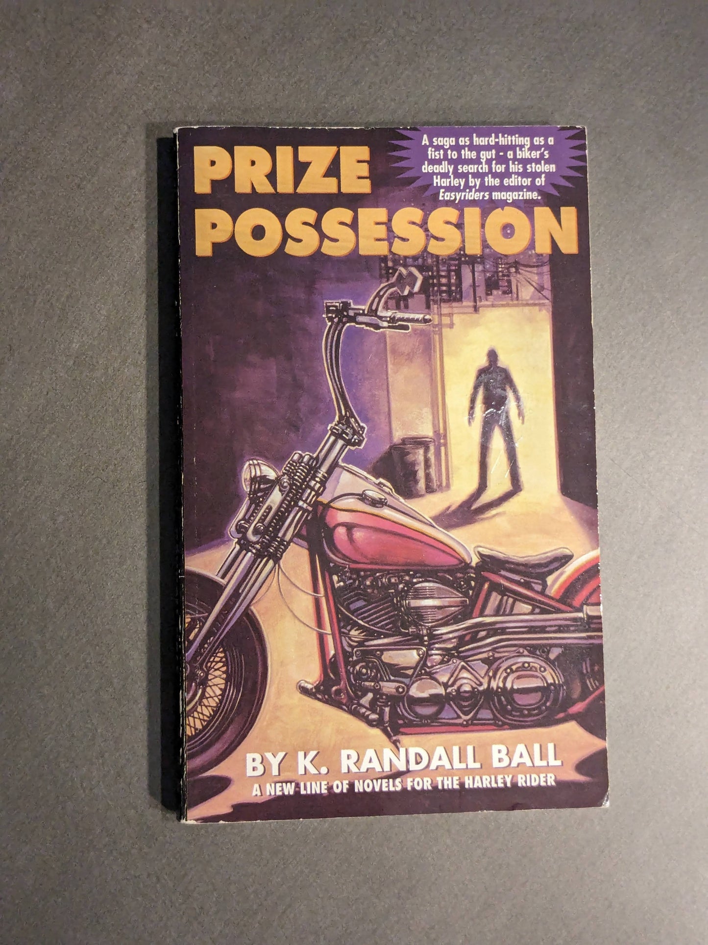 Prize Possession (Vintage Paperback) by K. Randall Ball