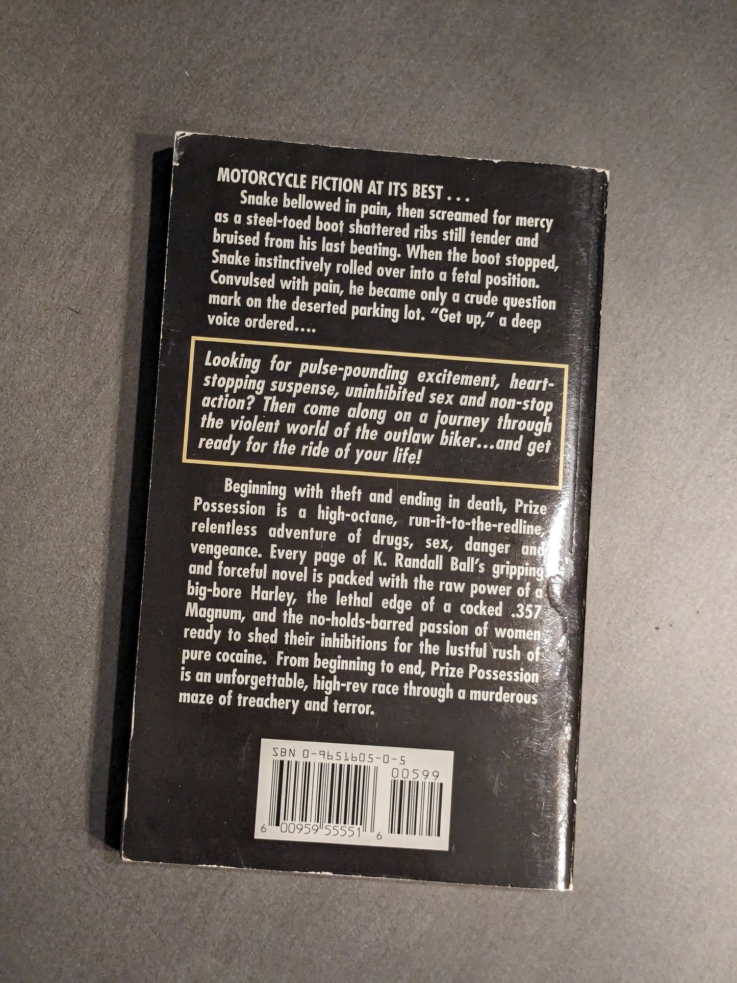 Prize Possession (Vintage Paperback) by K. Randall Ball