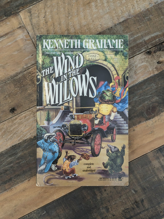 Wind in the Willlows (Vintage Paperback) by Kenneth Grahame