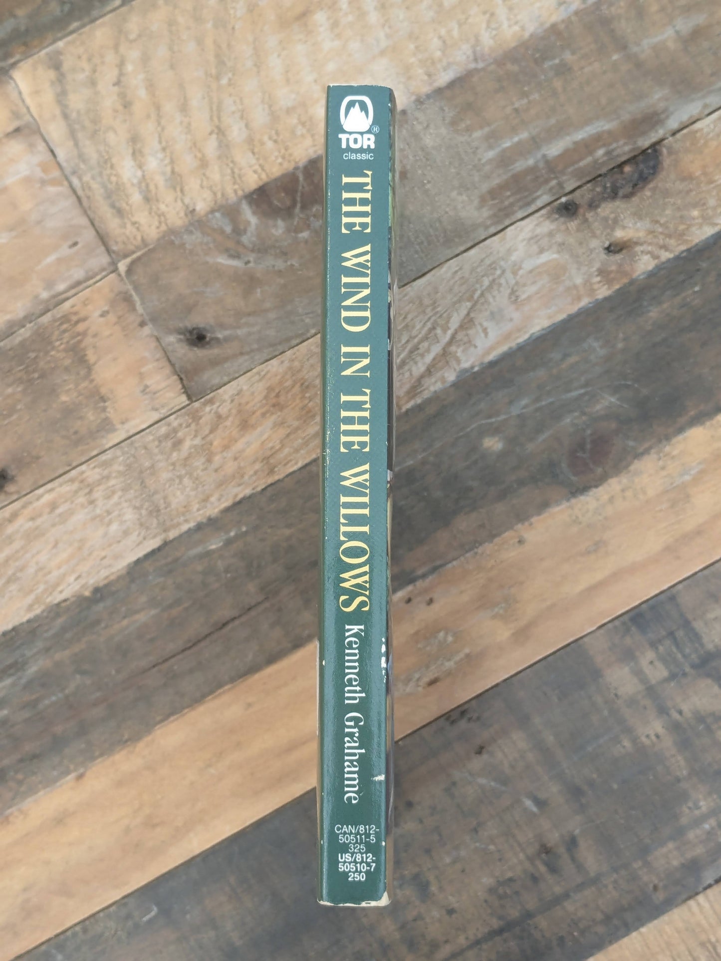 Wind in the Willlows (Vintage Paperback) by Kenneth Grahame