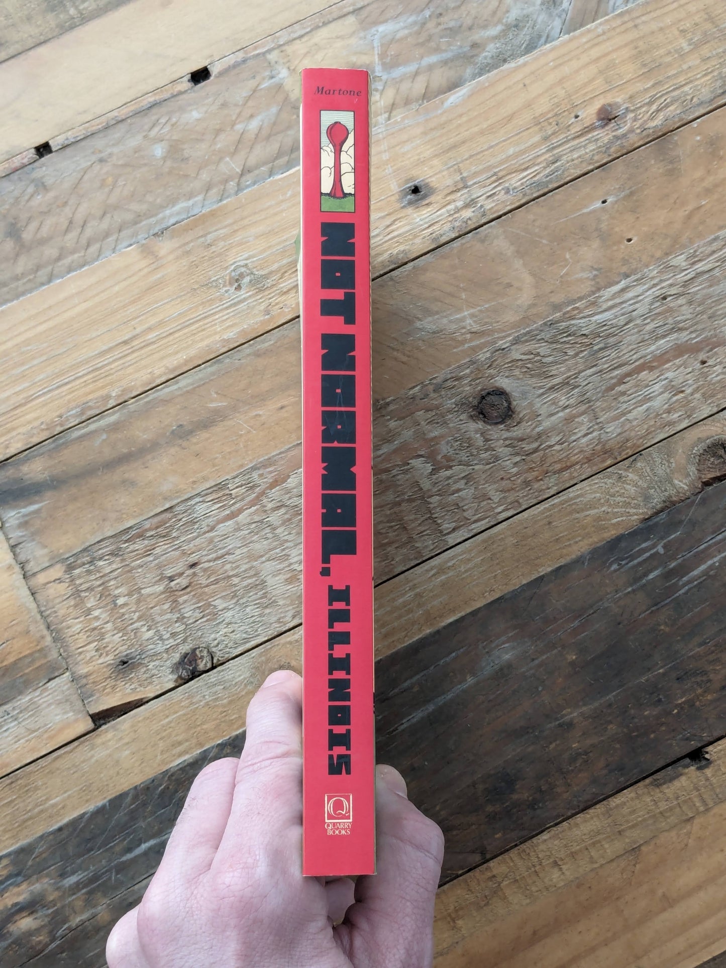 Not Normal, Illinois: Peculiar Fictions from the Flyover State (Paperback) by Michael Martone