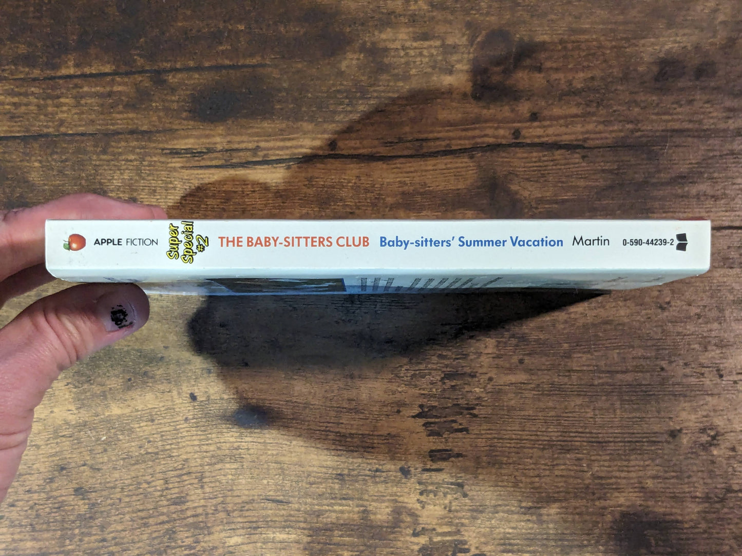 Babysitters' Summer Vacation (Babysitters Club Super Special #2) by Ann M. Martin