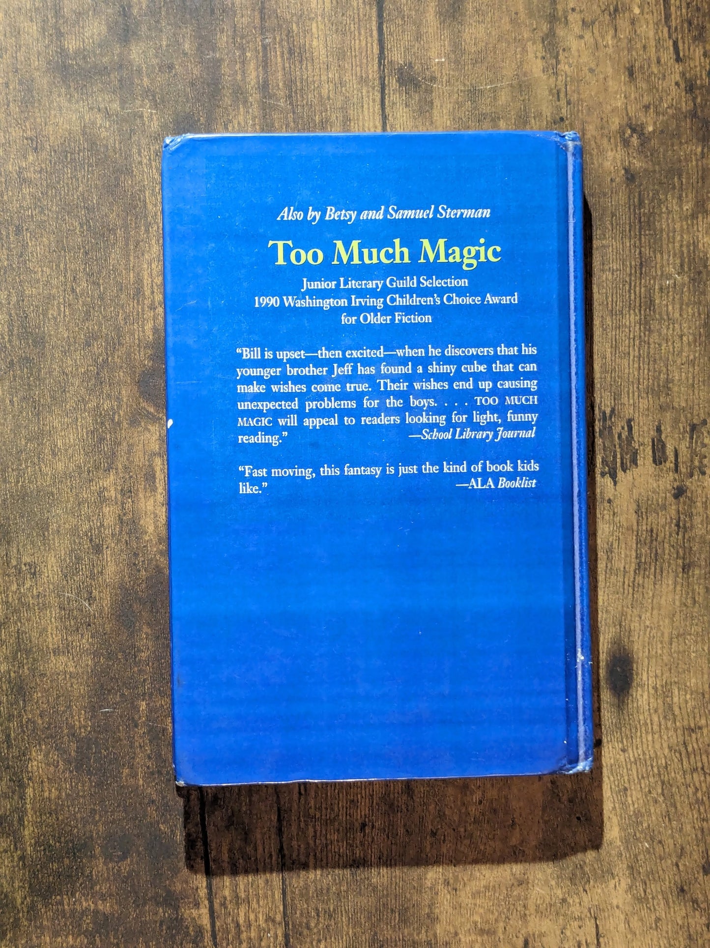 Backyard Dragon (Vintage Hardcover) by Betsy Sterman, Samuel Sterman, David Wenzel (Illustrator)