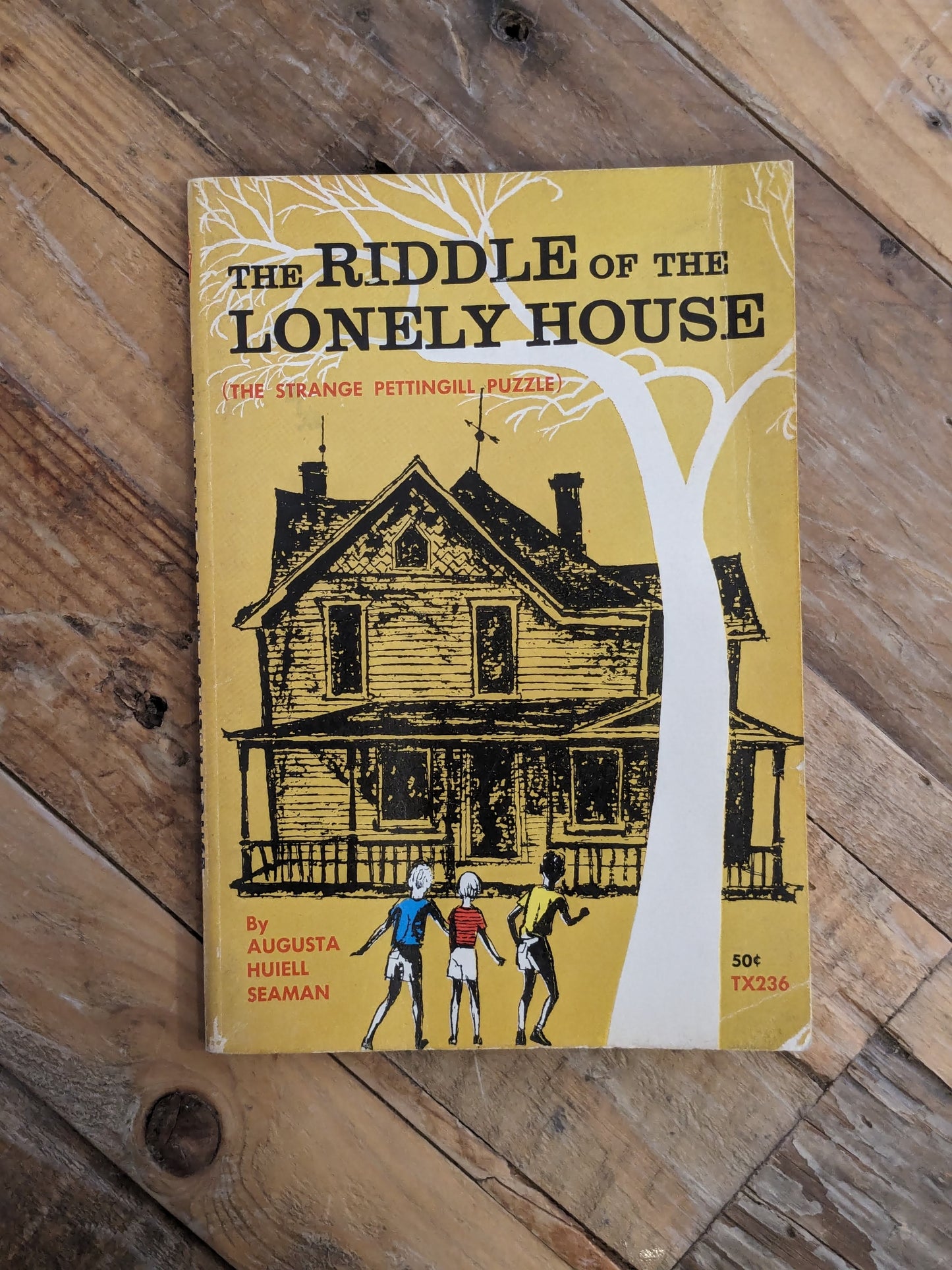 Riddle of the Lonely House (Vintage 1964 Paperback) by Augusta Huiell Seaman