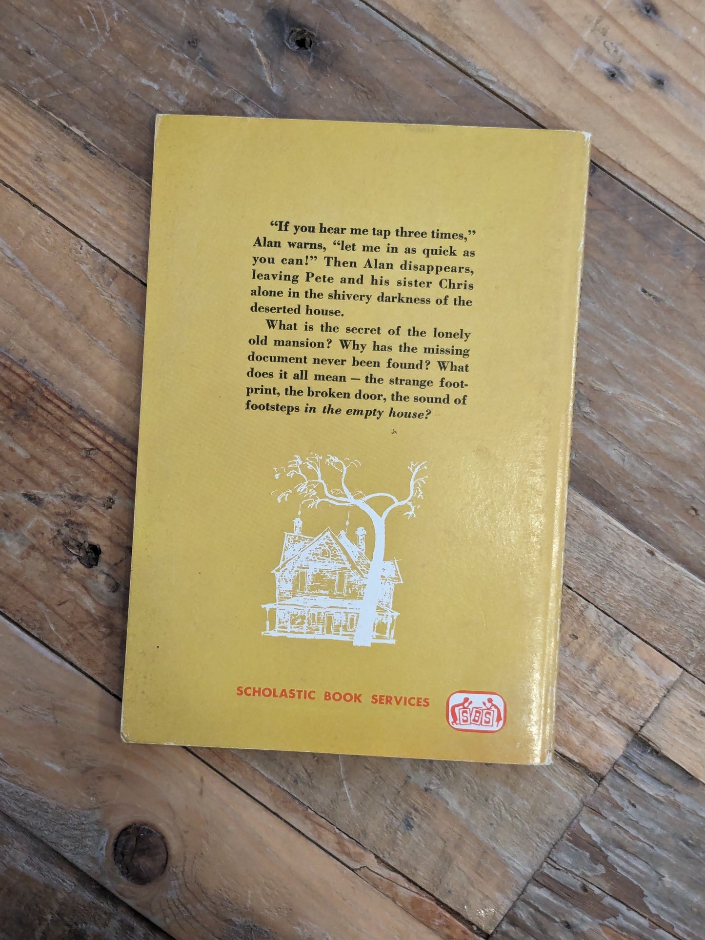 Riddle of the Lonely House (Vintage 1964 Paperback) by Augusta Huiell Seaman