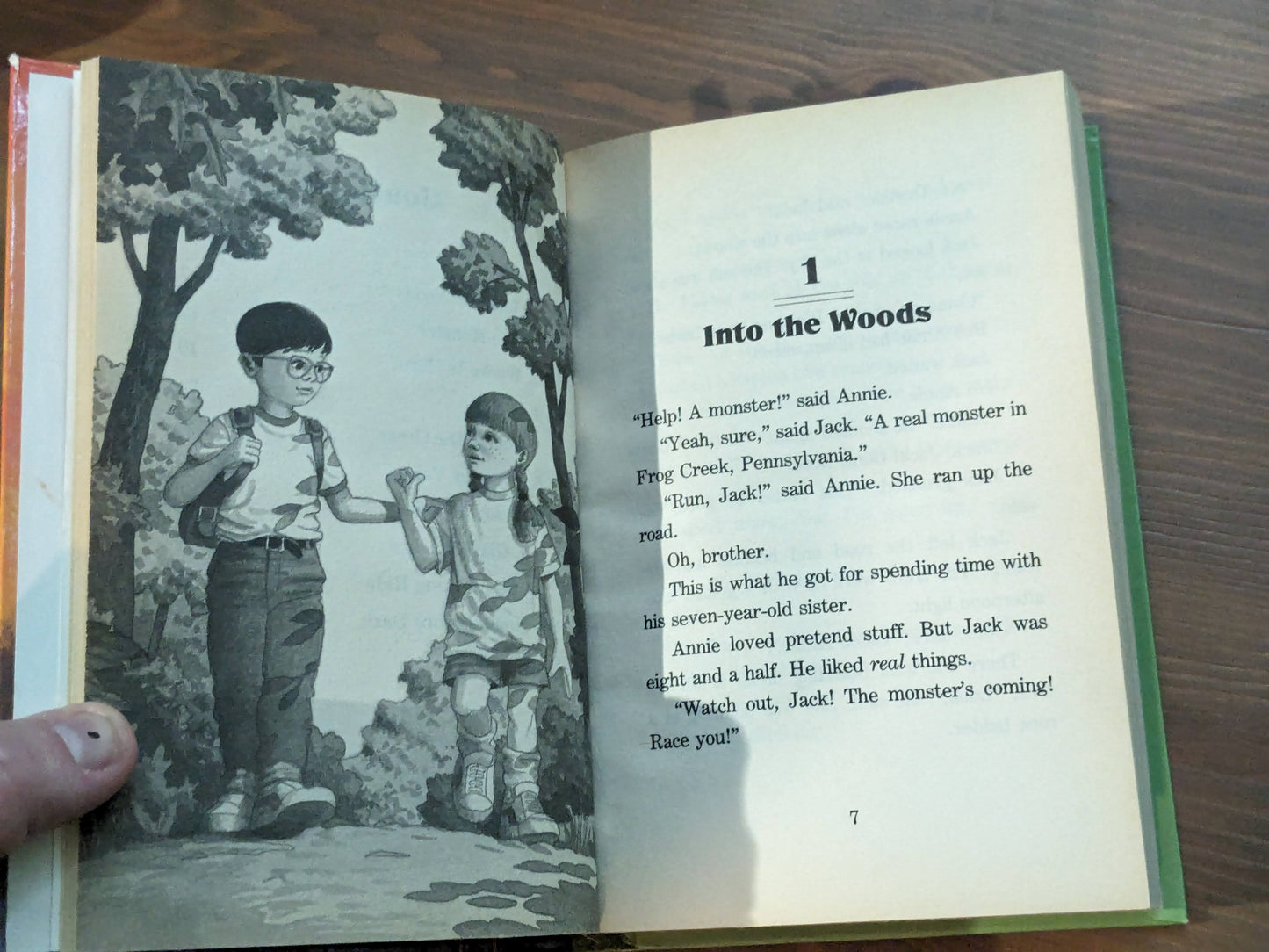 Magic Treehouse Collection #1 (Rare Hardcover) by Mary Pope Osborne