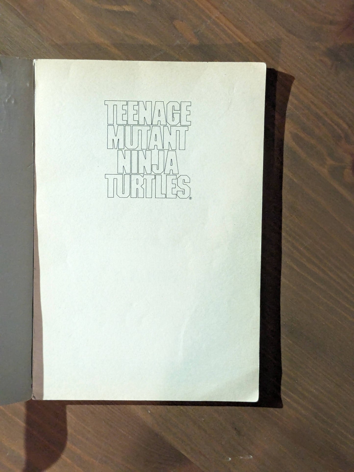Teenage Mutant Ninja Turtles: Lean, Green And On The Screen (Vintage Paperback) by B.B. Hiller