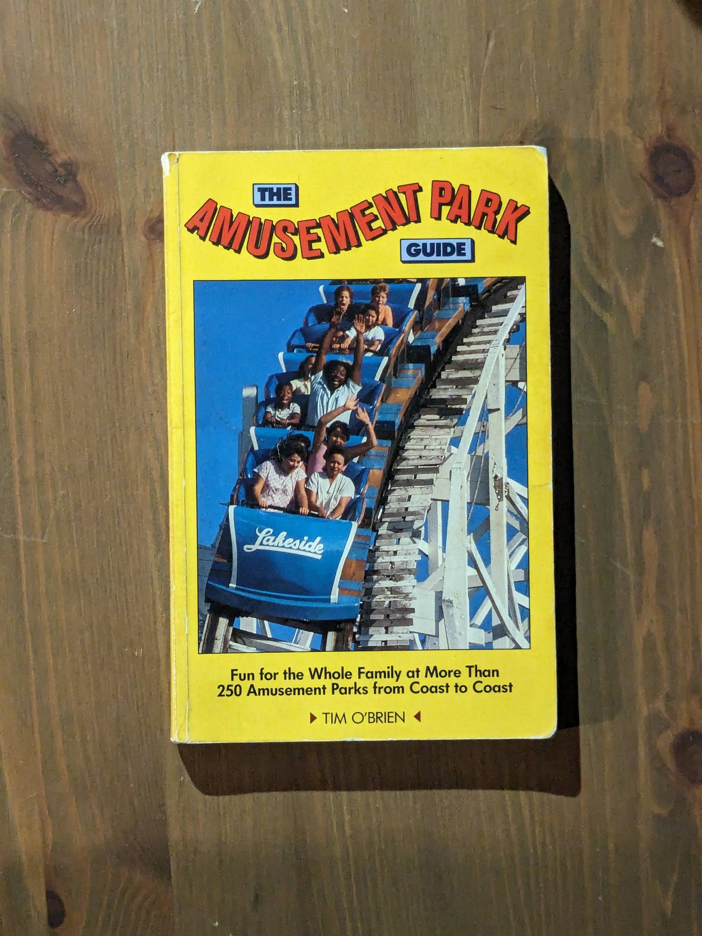 Amusement Park Guide, The (Vintage 1991 Paperback) by Tim O'Brien