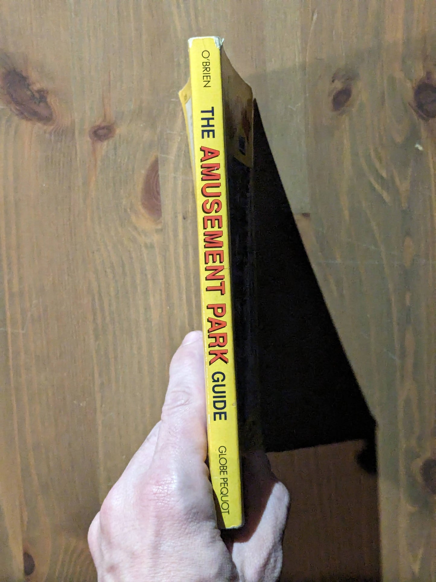 Amusement Park Guide, The (Vintage 1991 Paperback) by Tim O'Brien