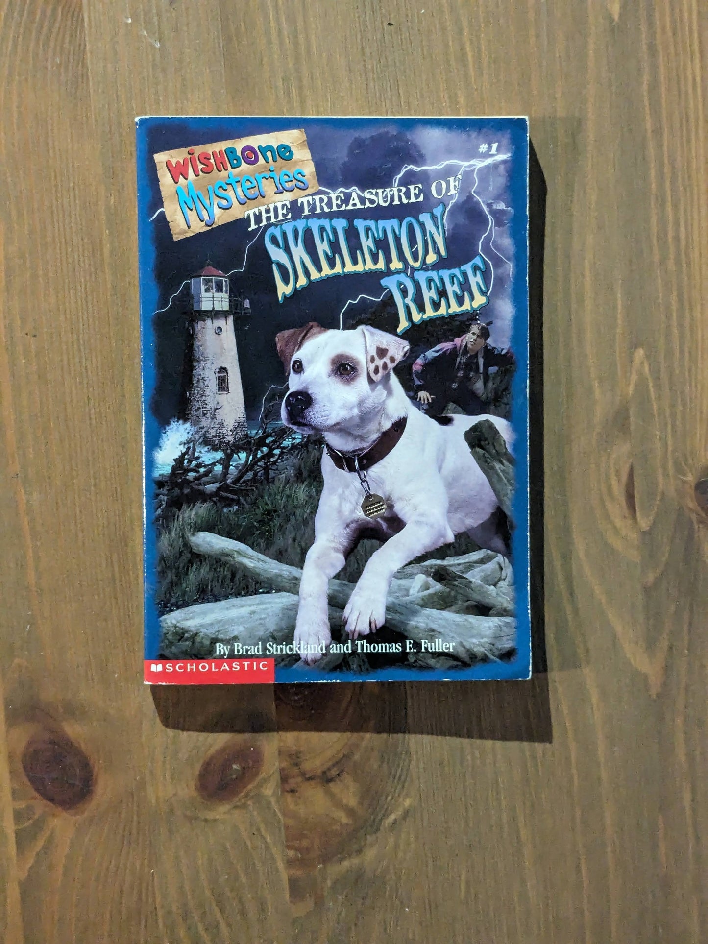 Treasure of Skeleton Reef (Wishbone Mysteries #1) by Brad Strickland - Vintage Paperback