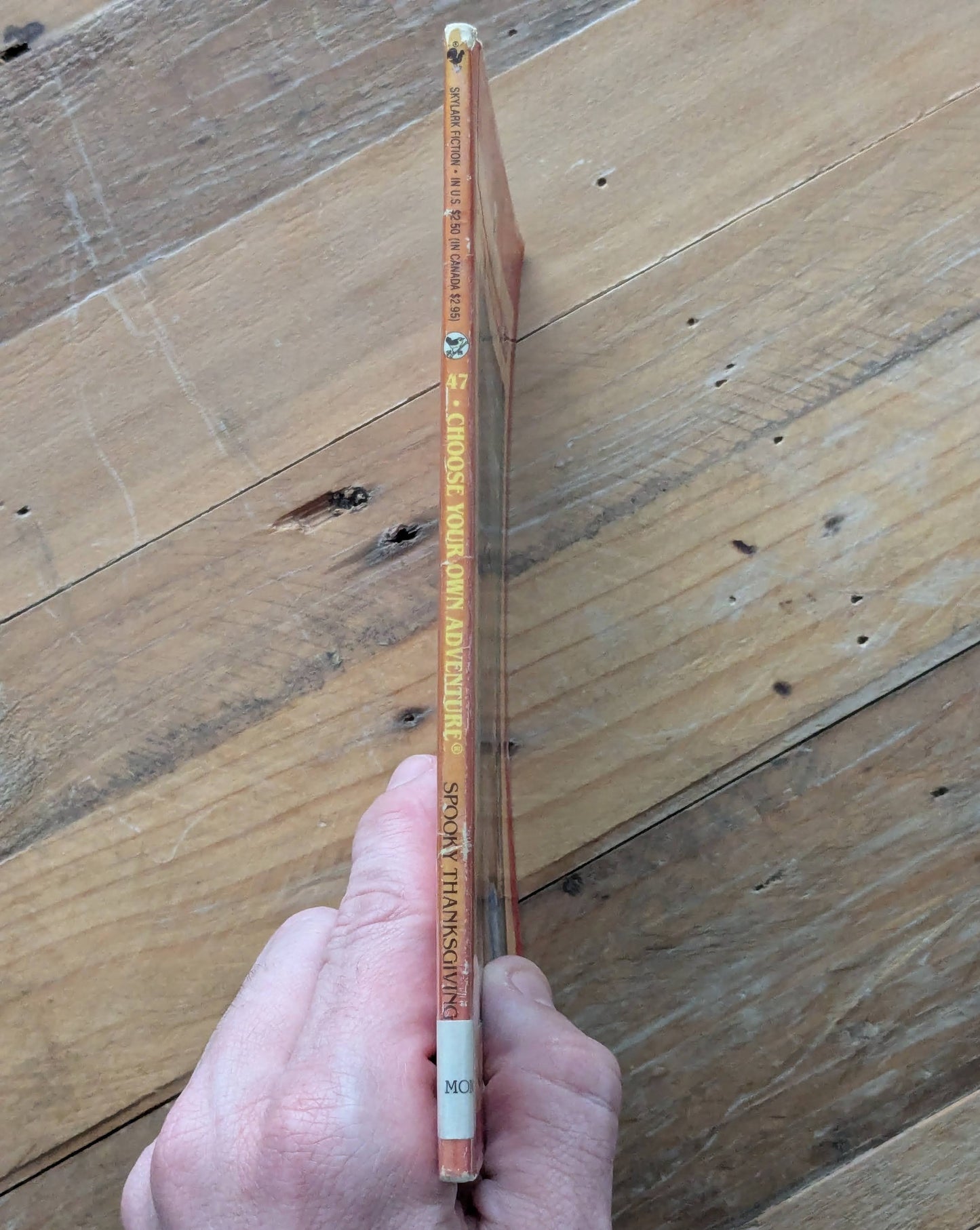 Spooky Thanksgiving (Choose Your Own Adventure: Young Readers #47) by R.A. Montgomery, Ron Wing (Illustrator)