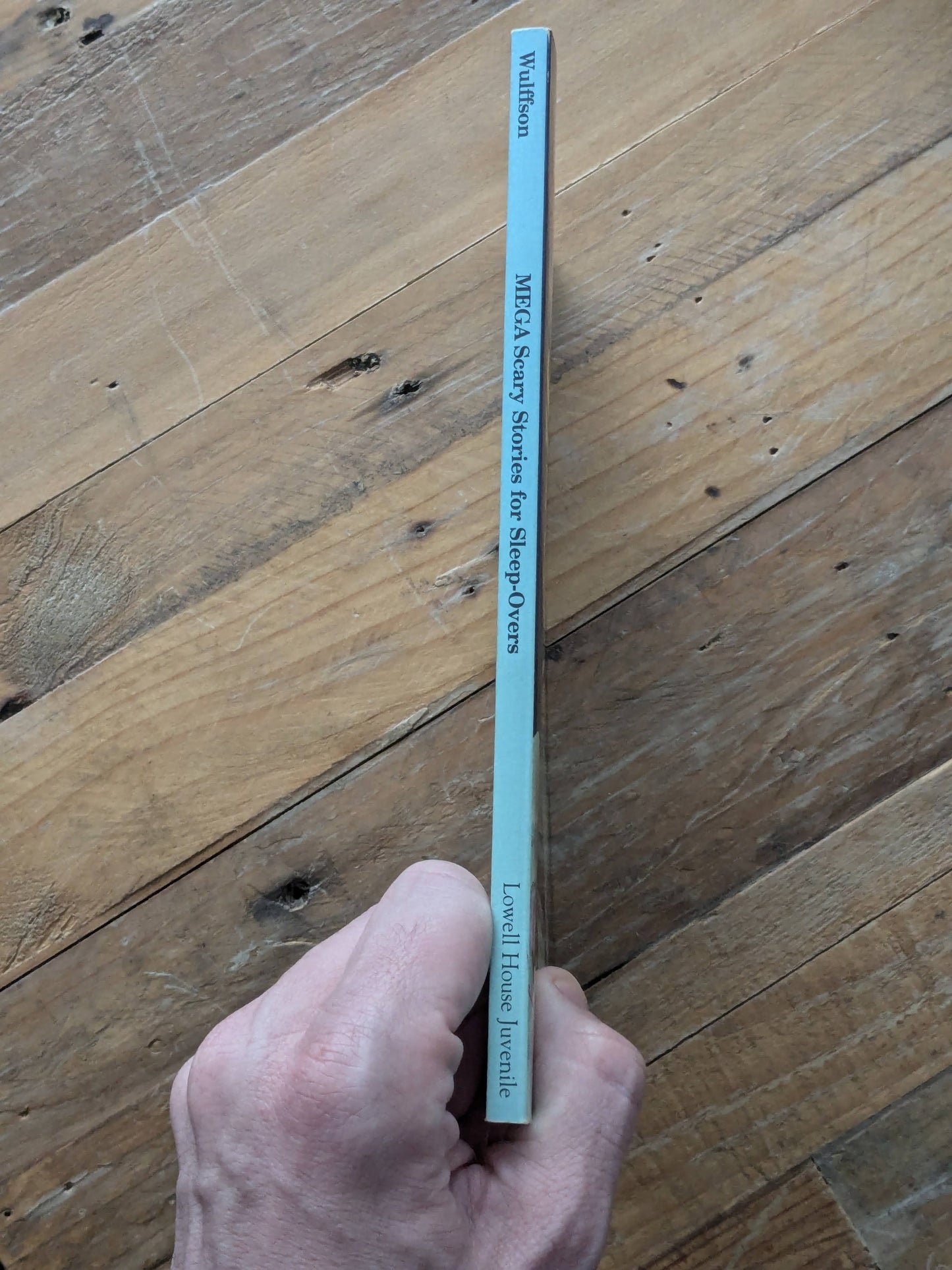 Mega (Scary Stories for Sleep-Overs #7) by Don L. Wulffson - Vintage Paperback