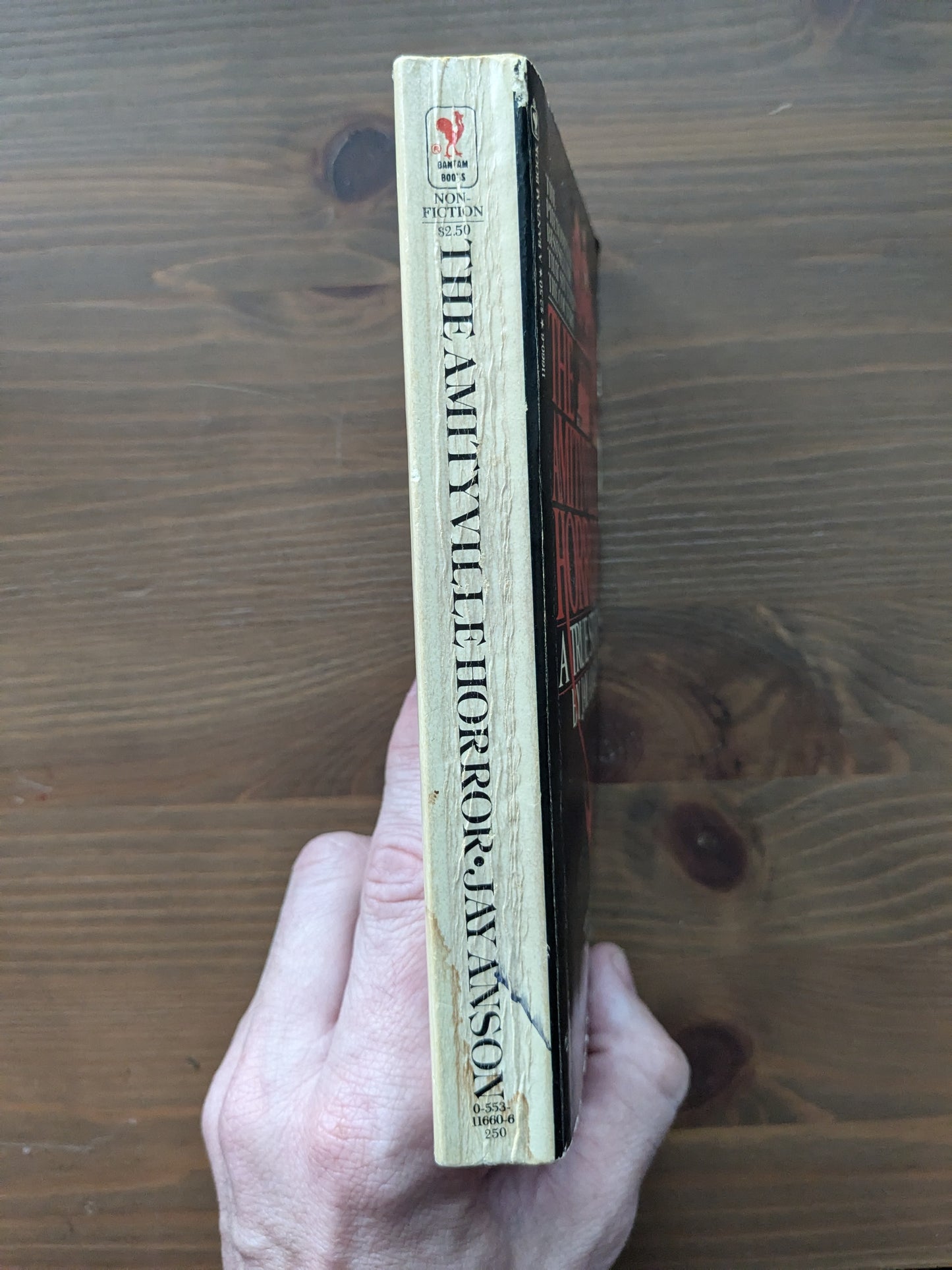 Amityville Horror, The (Vintage Paperback) by Jay Anson
