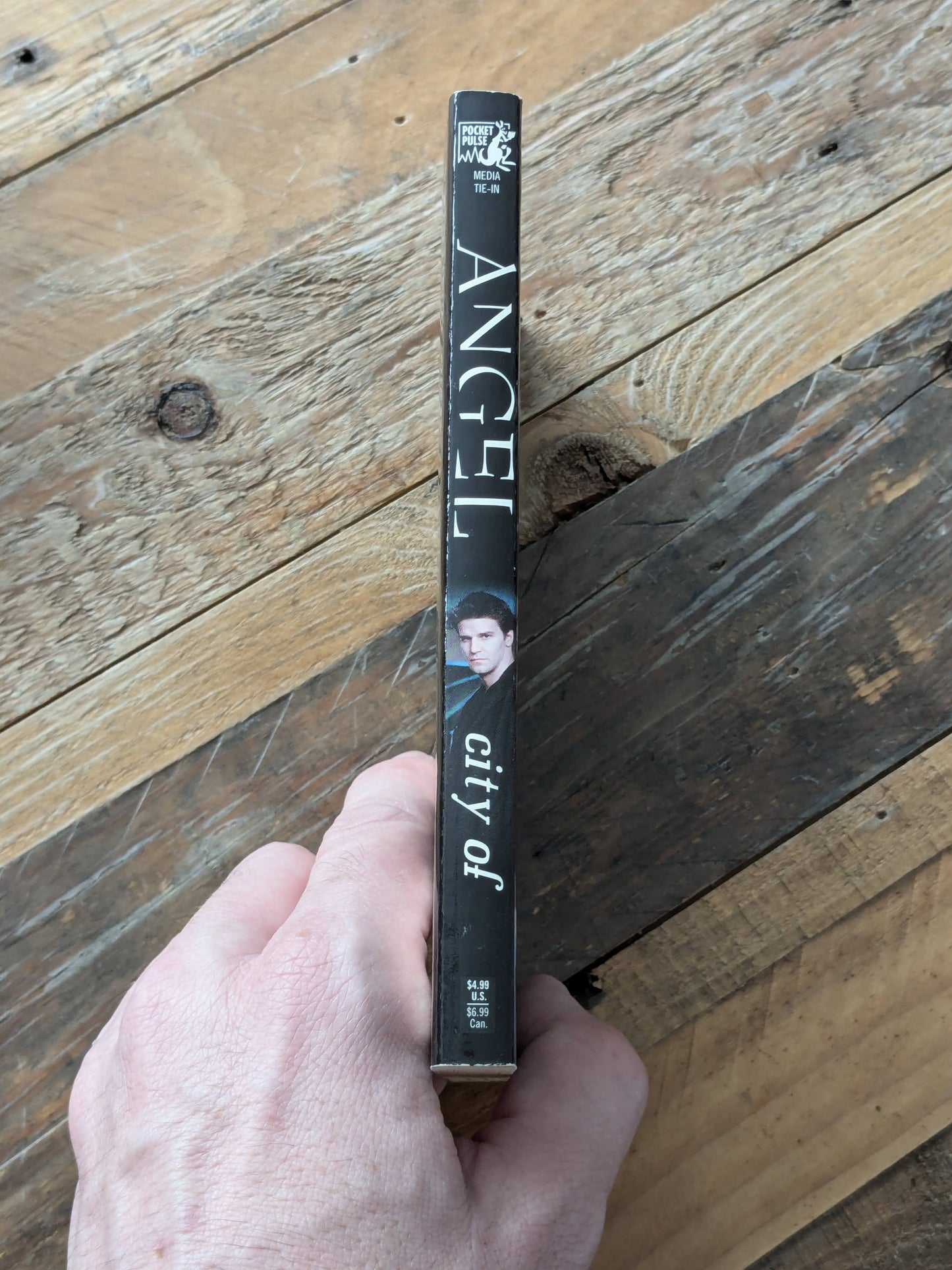 Angel: City of (Buffyverse Novels #44) by Nancy Holder - Vintage Paperback