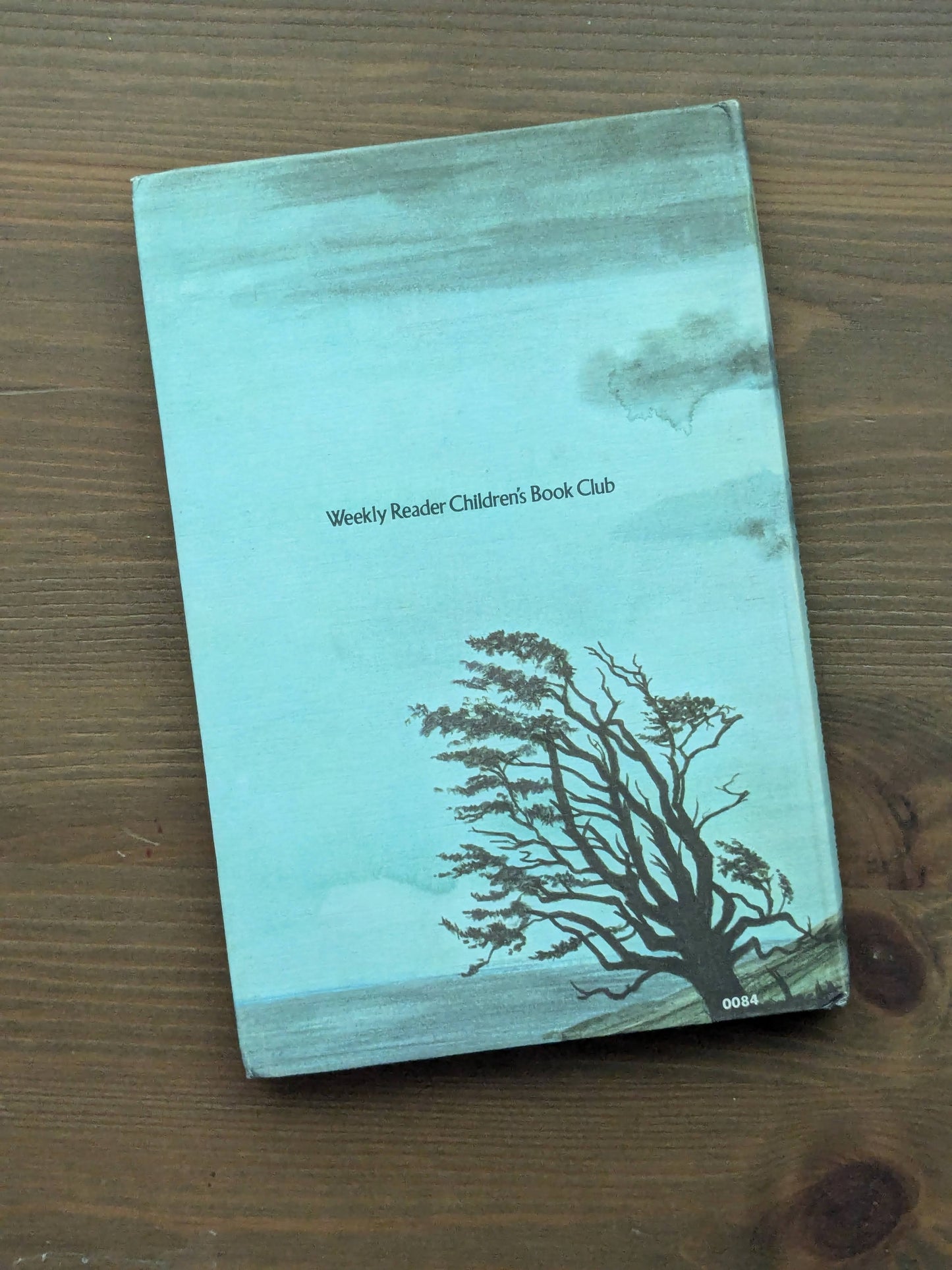 Mystery of Mordach Castle (Vintage Paperback) by William MacKellar, Jerry Lazare (Illustrator)