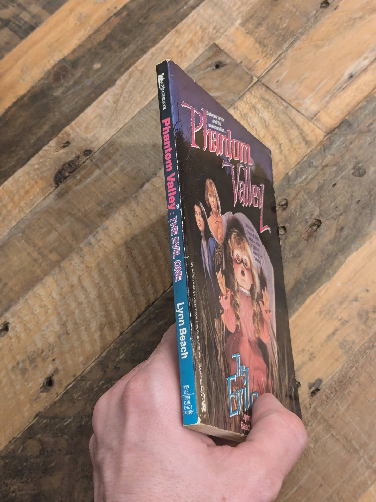 Evil One, The (Phantom Valley #1) by Lynn Beach - Vintage Paperback