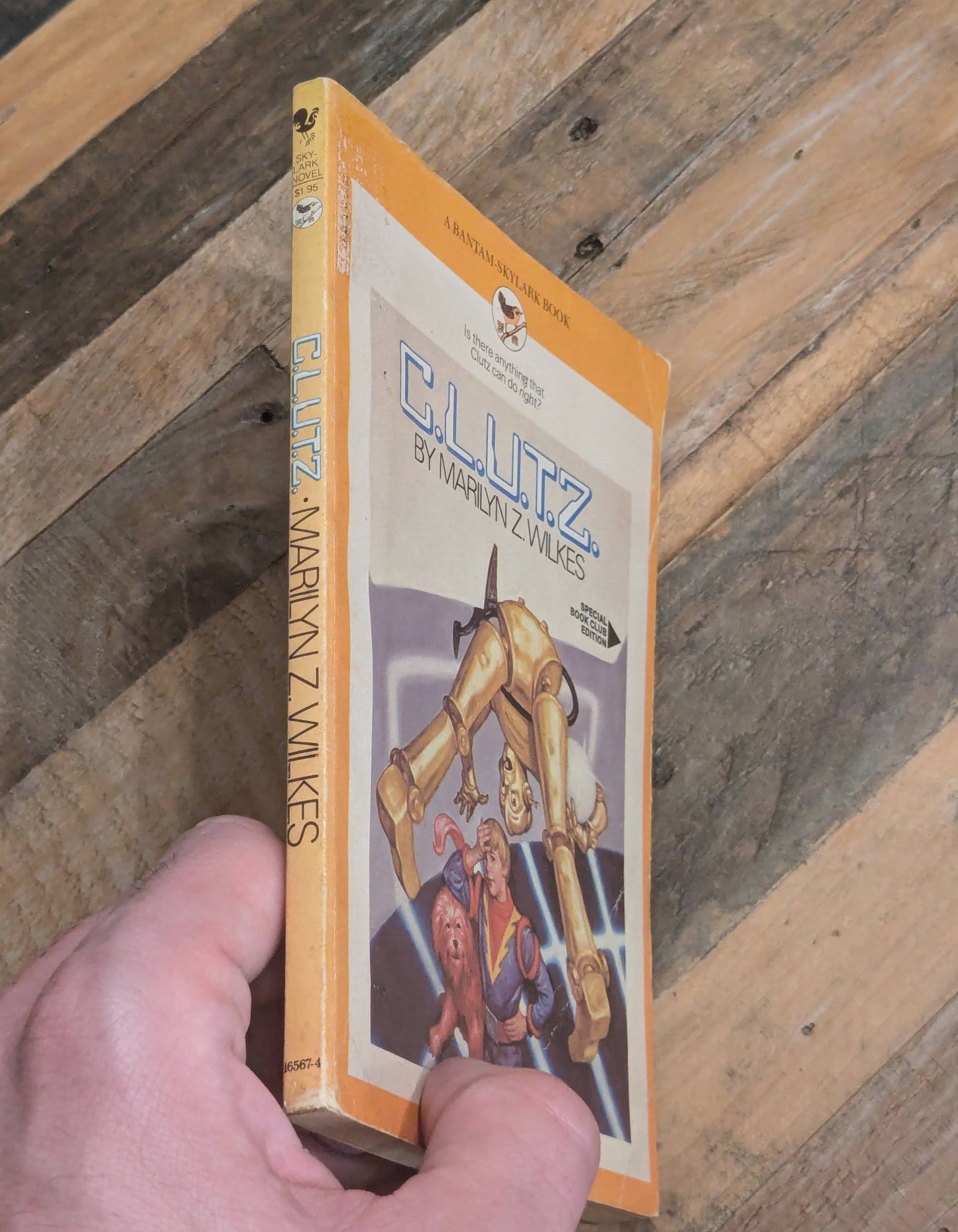 C.L.U.T.Z. (Vintage Paperback) by Marilyn Z. Wilkes, Larry Ross (illustrator)