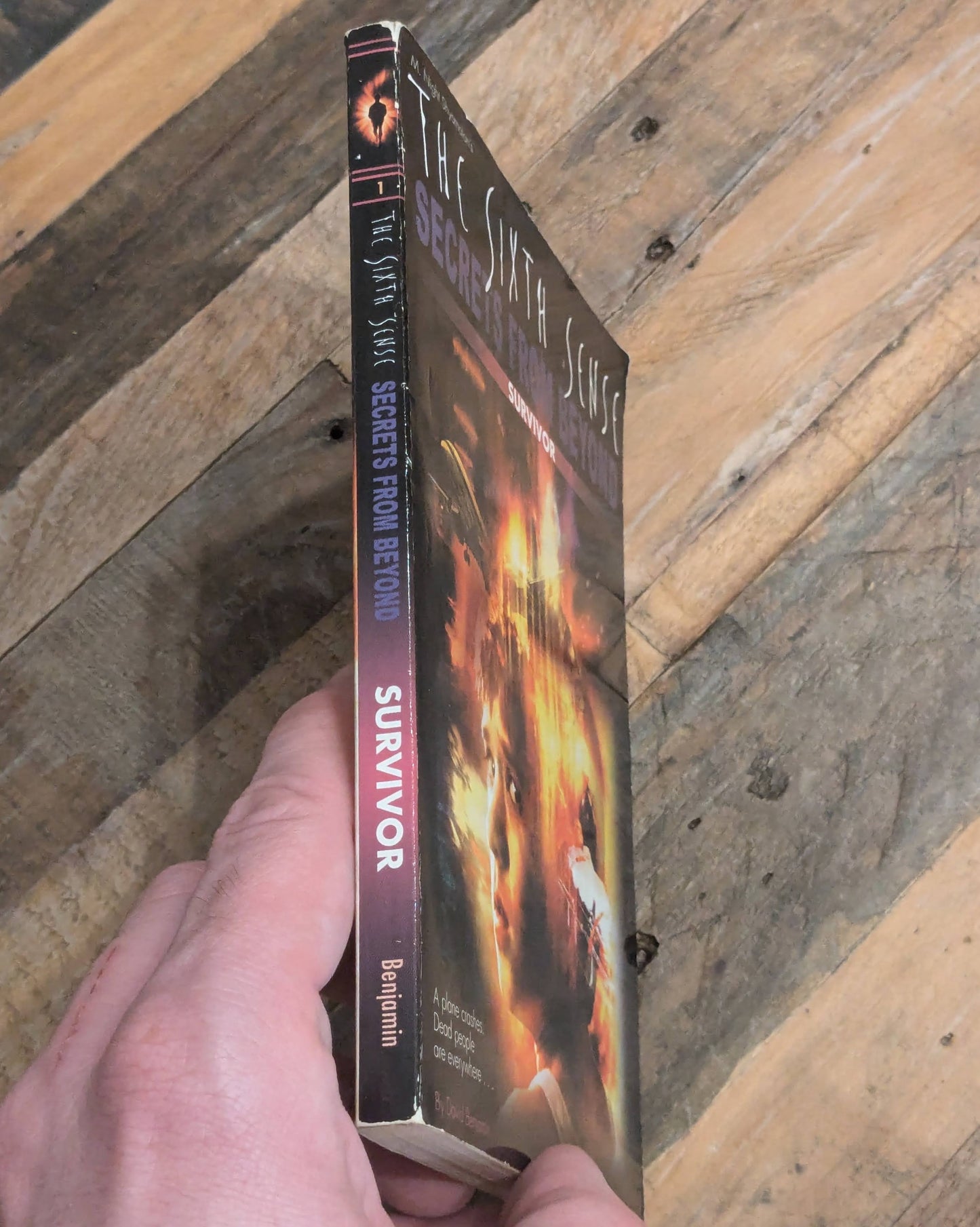 Survivor (The Sixth Sense: Secrets from Beyond #1) by David Levithan - Vintage Paperback