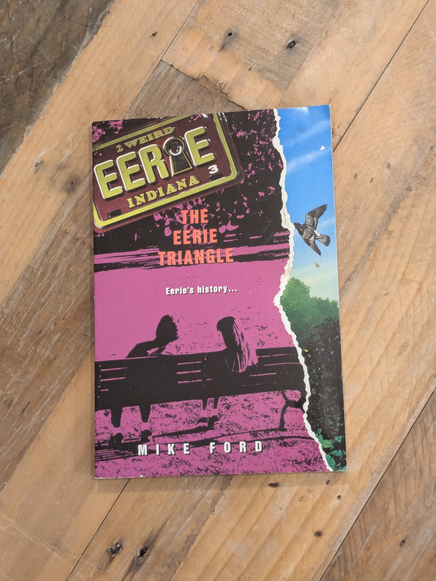 Eerie Triangle, The (Eerie Indiana #3) by Mike Ford