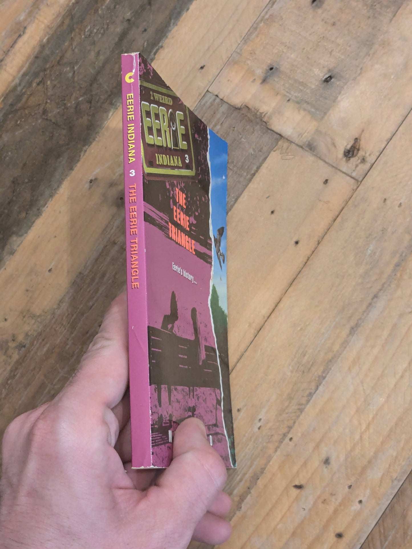 Eerie Triangle, The (Eerie Indiana #3) by Mike Ford
