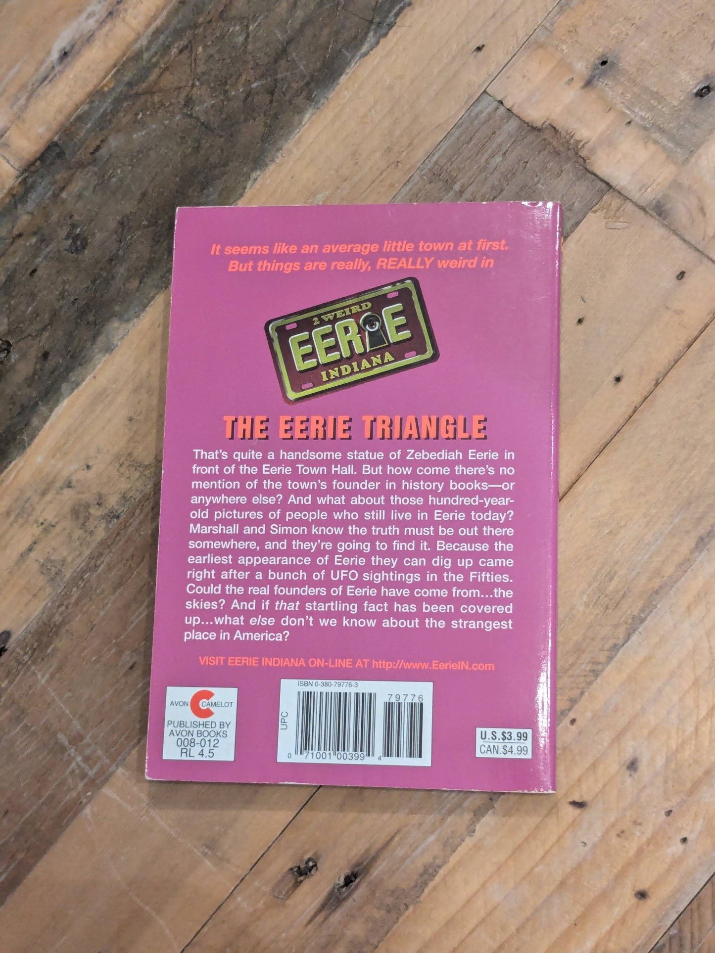 Eerie Triangle, The (Eerie Indiana #3) by Mike Ford