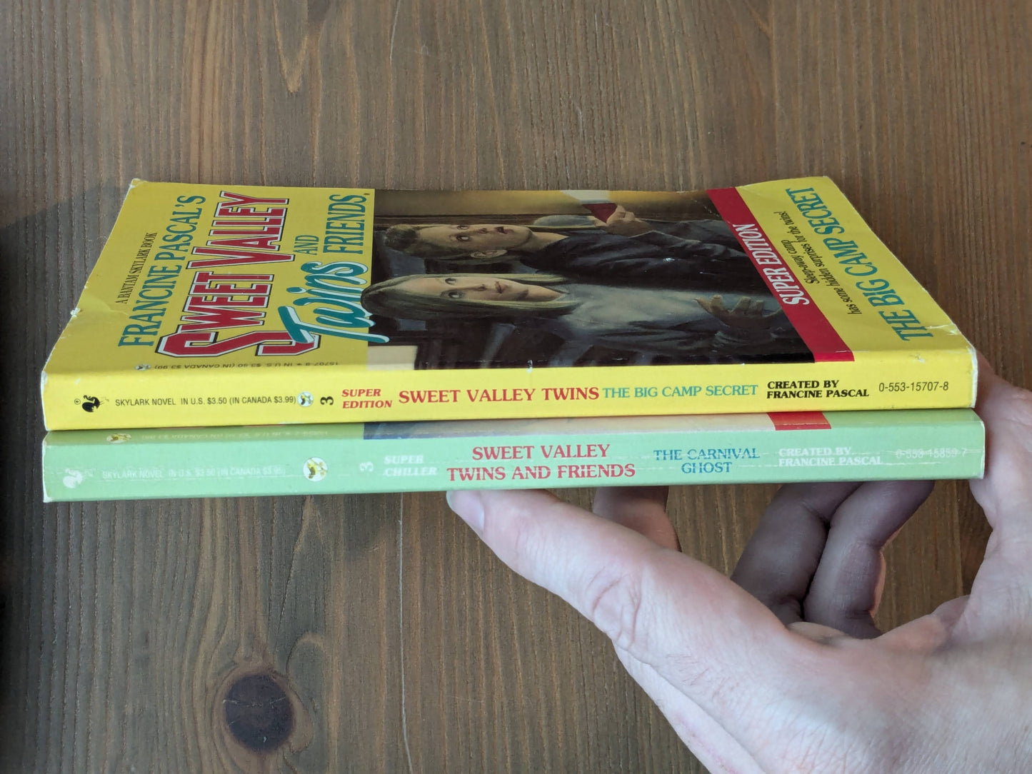 Sweet Valley Twins & Friends (2-Pack Vintage Paperbacks) by Francine Pascal - Carnival Ghost, Big Camp Secret