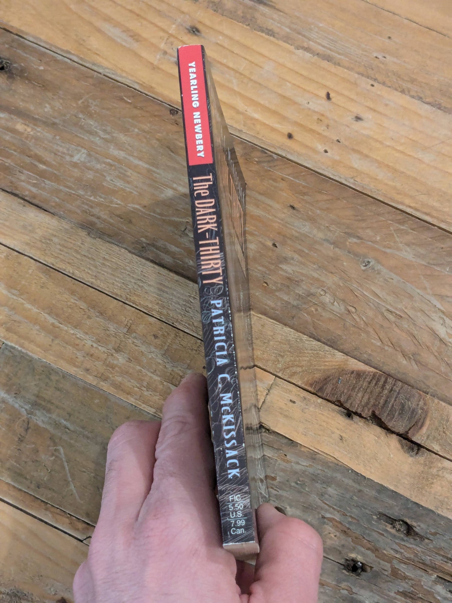 Dark-Thirty, The: Southern Tales of the Supernatural (Vintage Paperack) by Patricia C. McKissack, Brian Pinkney (Illustrator)