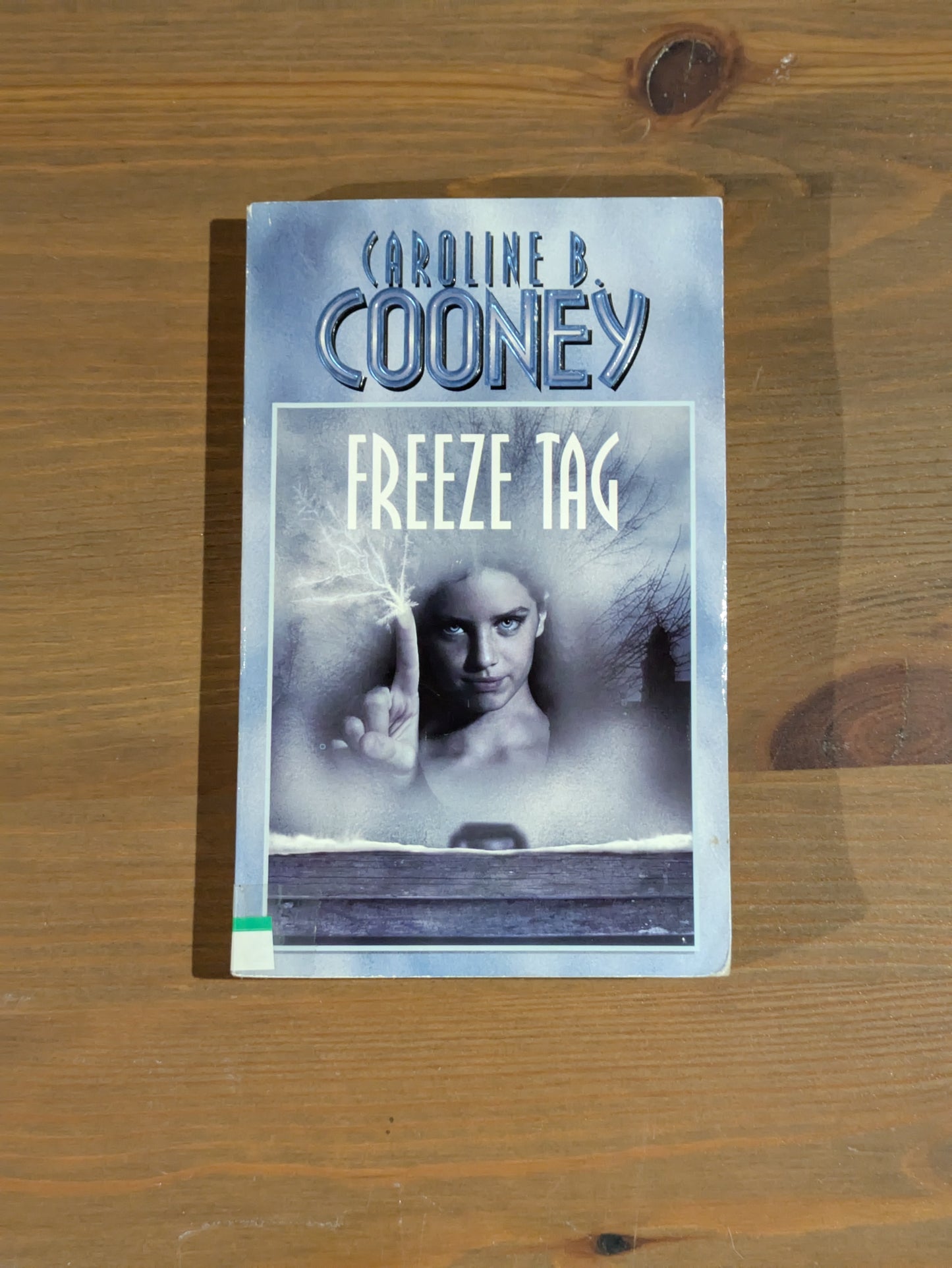 Freeze Tag (Vintage Paperback) by Caroline B. Cooney