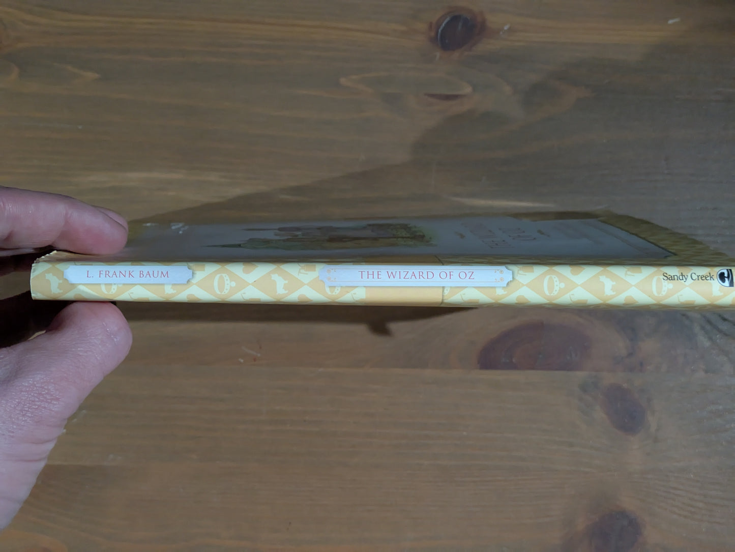 Wizard of Oz, The (Illustrated Cassic Collection) by Ronne Randall - Hardcover