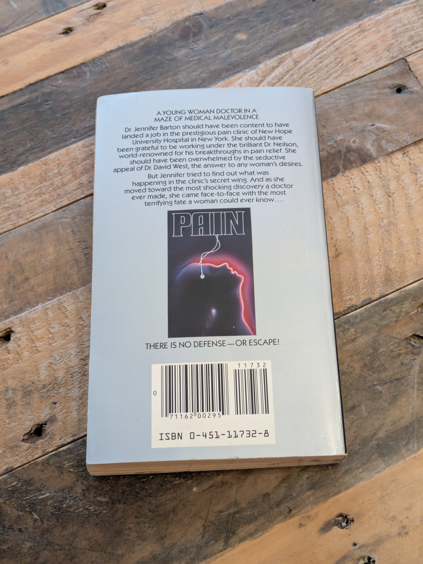 Pain (Vintage Paperback) by Michael Carson