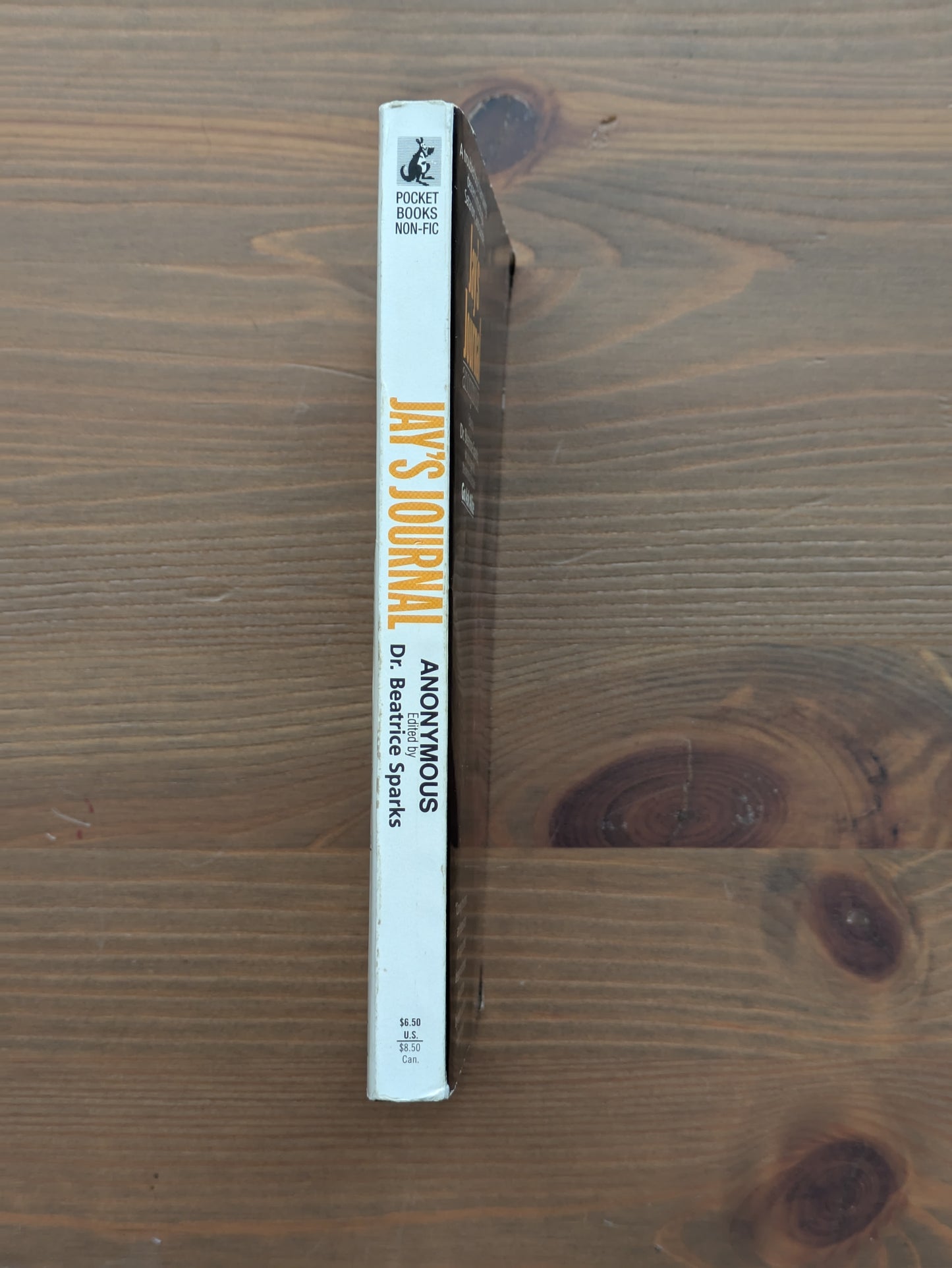 Jay's Journal (Vintage Paperback) by Anonymous - Edited by Beatrice Sparks