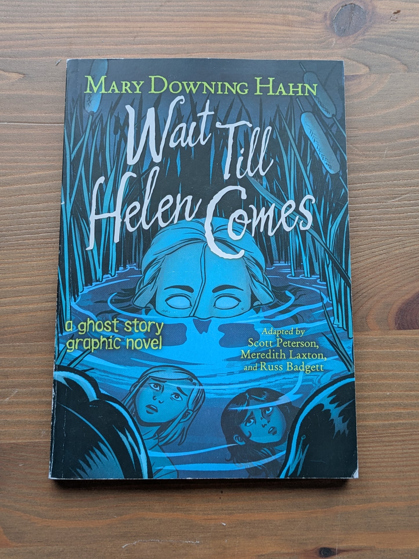 Wait Till Helen Comes: A Ghost Story (Graphic Novel)