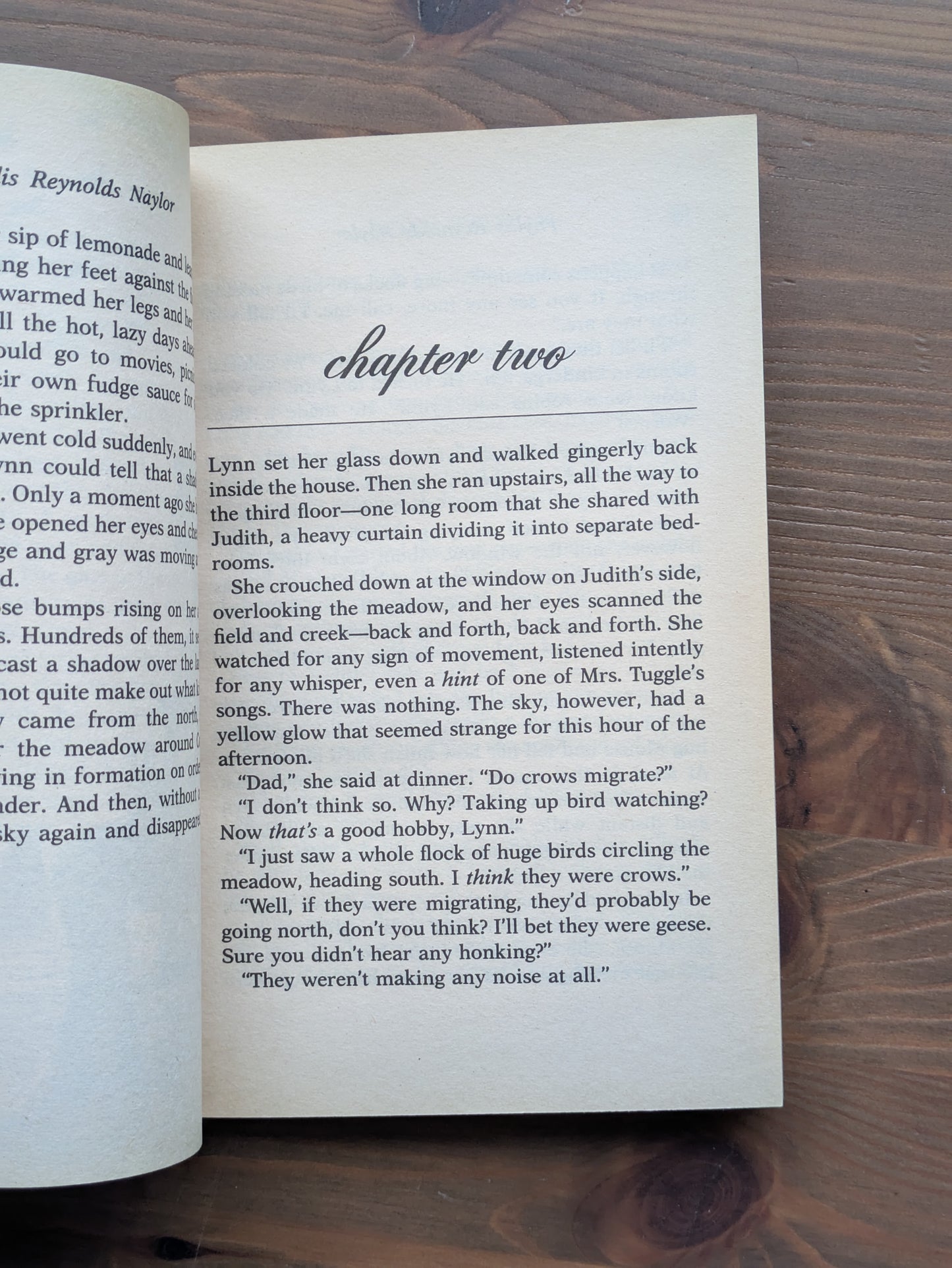 Witch Weed (Vintage Paperback) by Phyllis Reynolds Naylor