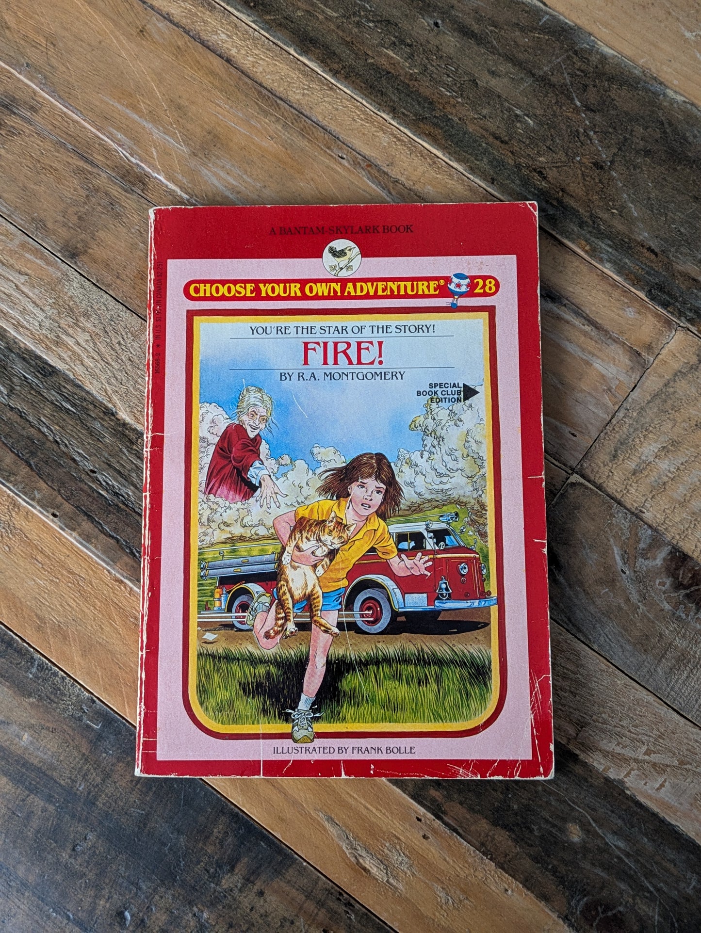 FIRE! (Choose Your Own Adventure #28) by R.A. Montgomery