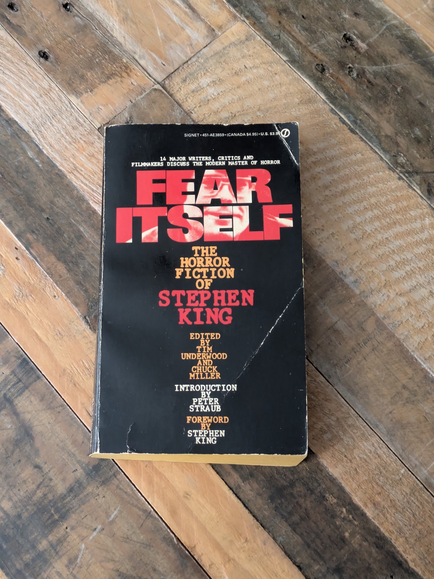 Fear Itself: The Early Works of Stephen King (Vintage Paperback) by Chuck Miller, Tim Underwood