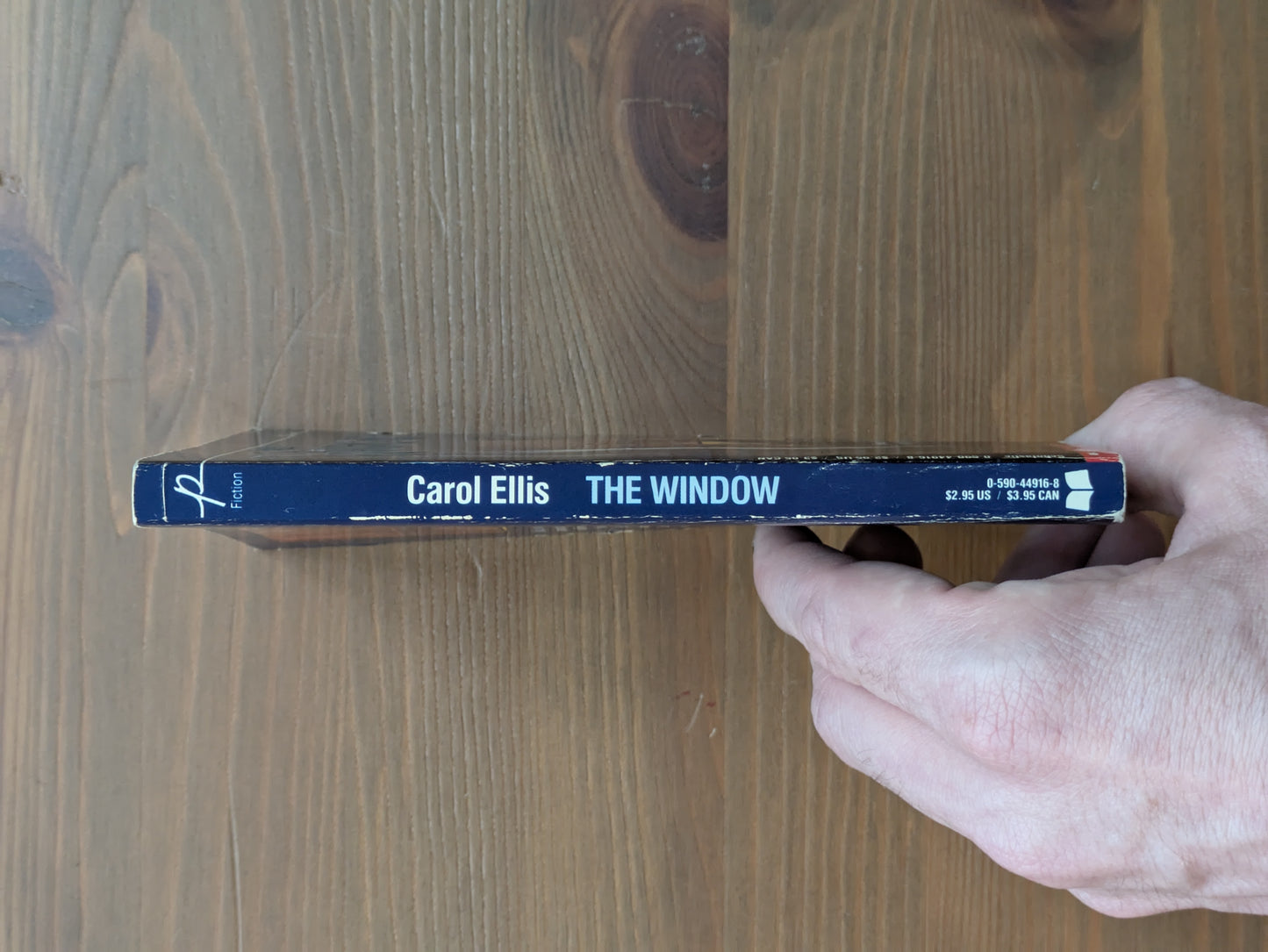 Window, The (Point Horror) by Carol Ellis - Vintage Paperback