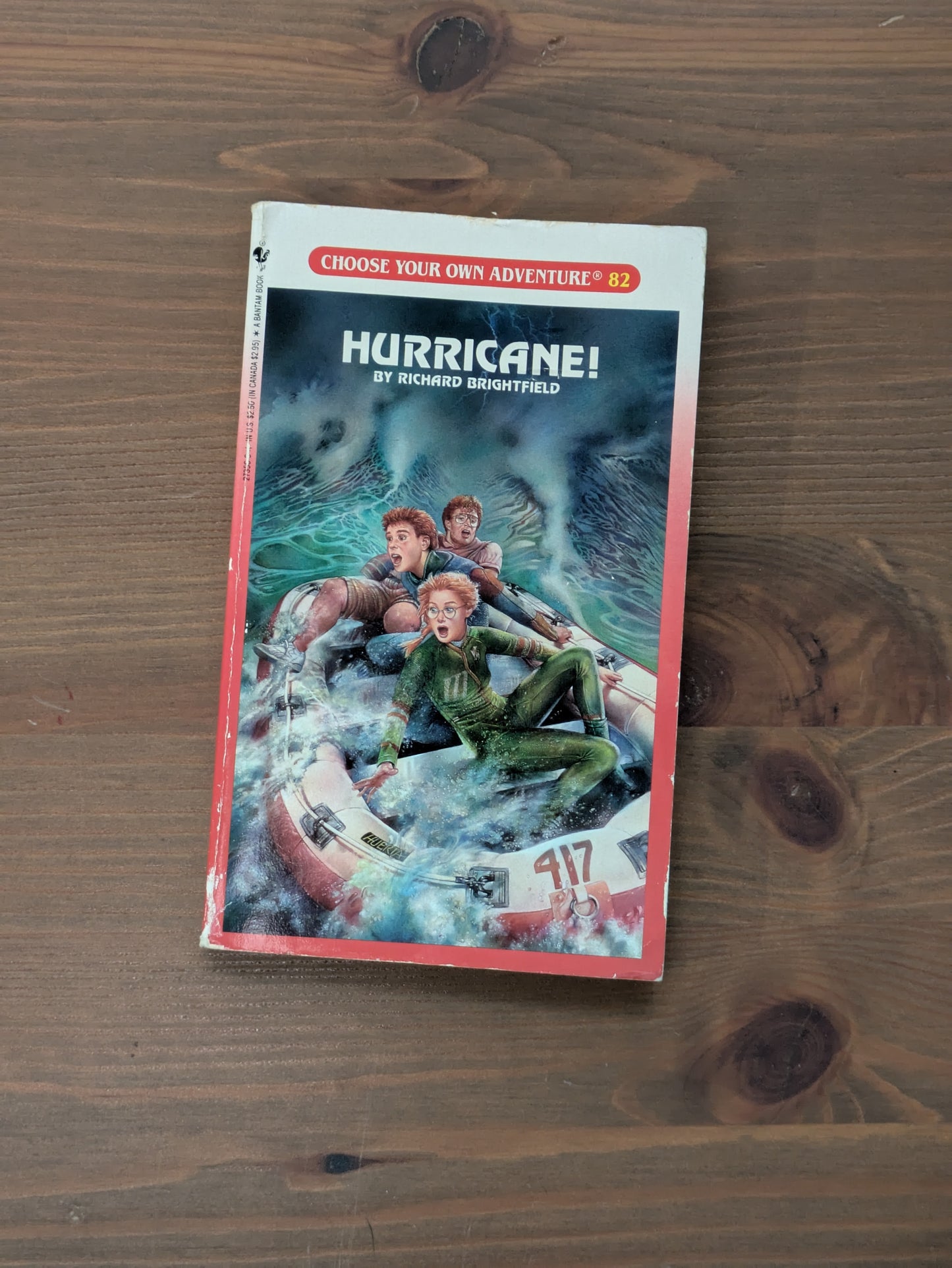 Hurricane! (Choose Your Own Adventure #82) by Richard Brightfield - Vintage Paperback