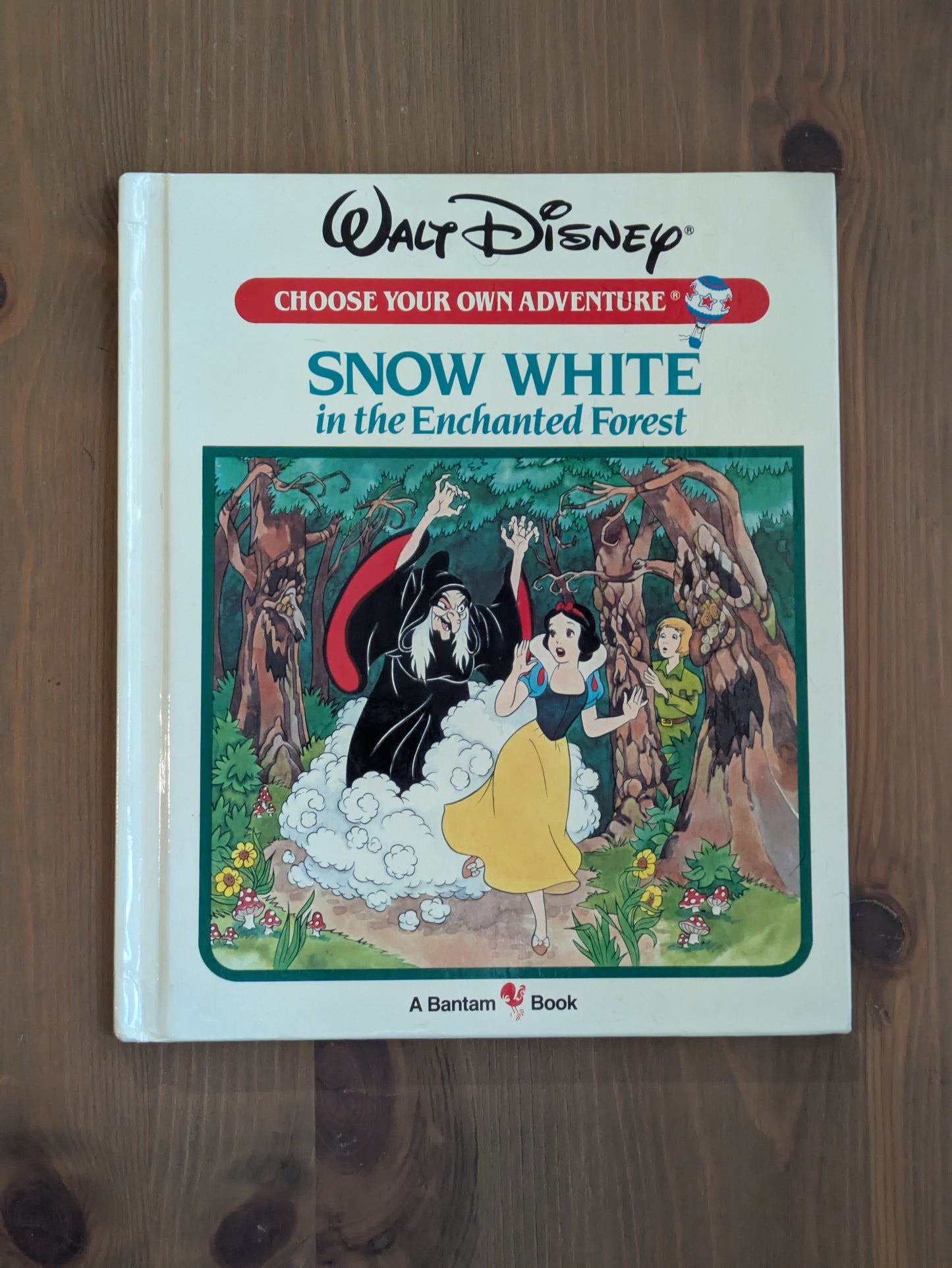Snow White in the Enchanted Forest (Disney Choose Your Own Adventure) by Jim Razzi - Vintage Hardcover