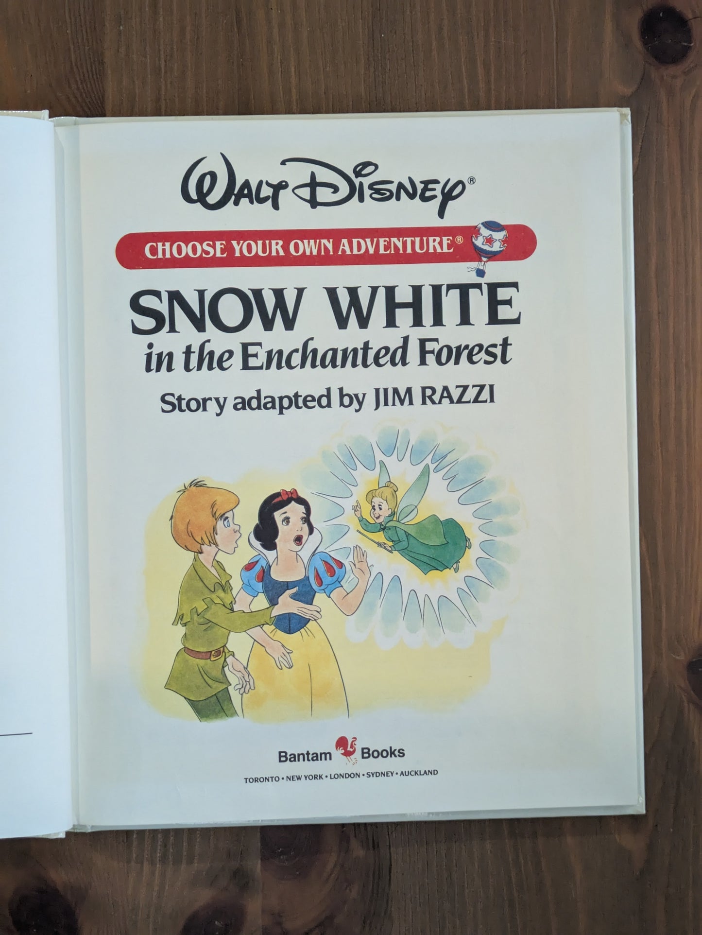 Snow White in the Enchanted Forest (Disney Choose Your Own Adventure) by Jim Razzi - Vintage Hardcover