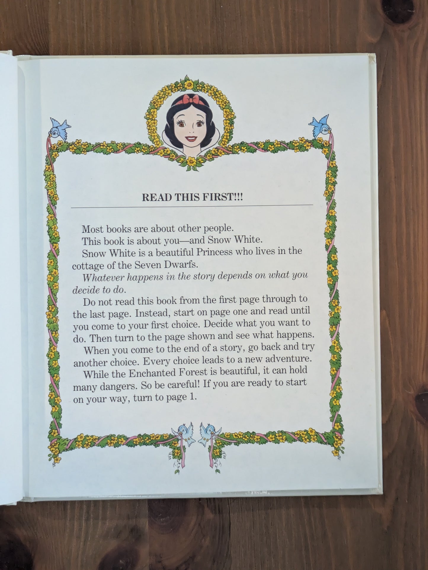 Snow White in the Enchanted Forest (Disney Choose Your Own Adventure) by Jim Razzi - Vintage Hardcover