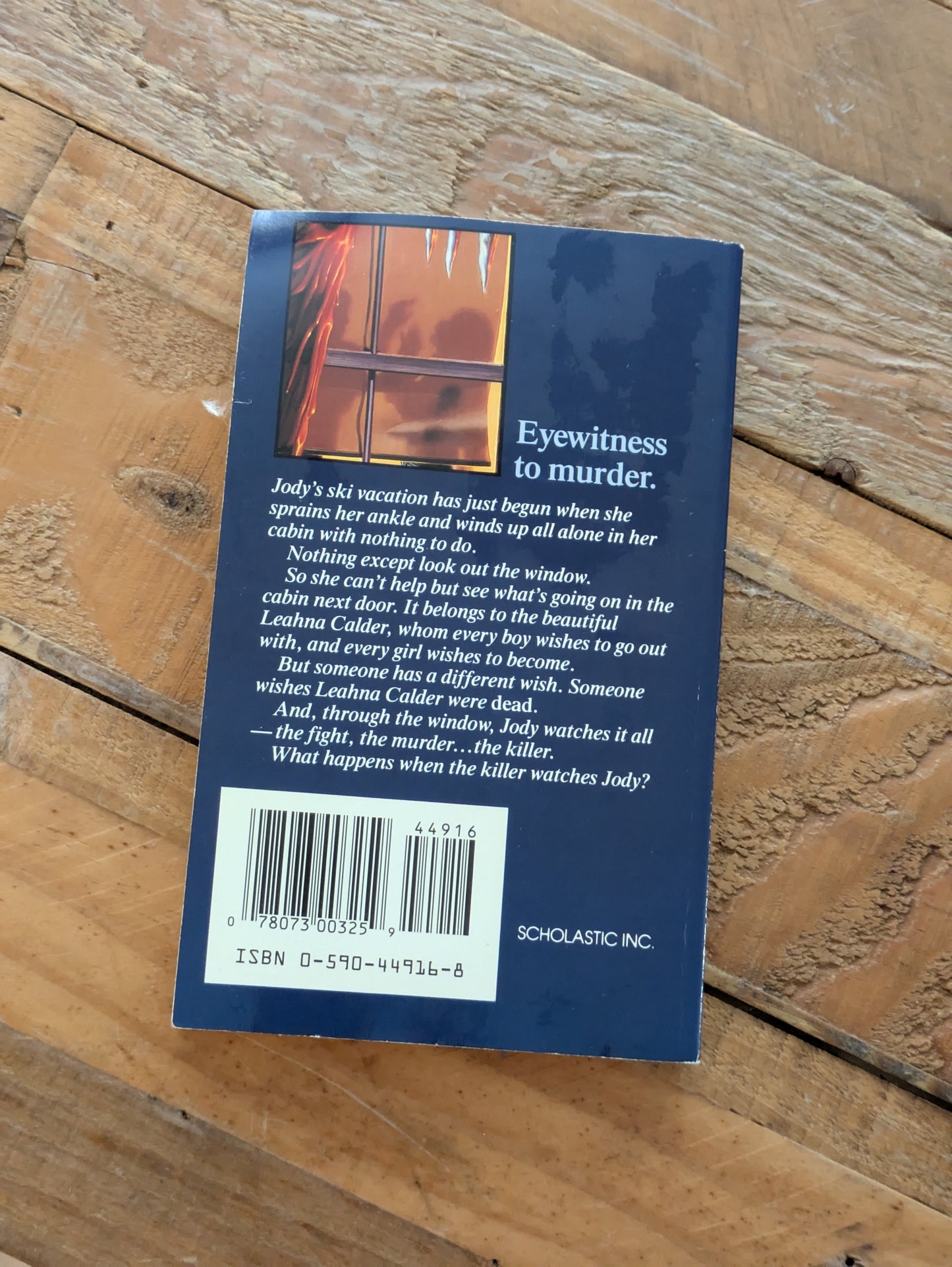 Window, The (Point Horror) by Carol Ellis - Vintage Paperback