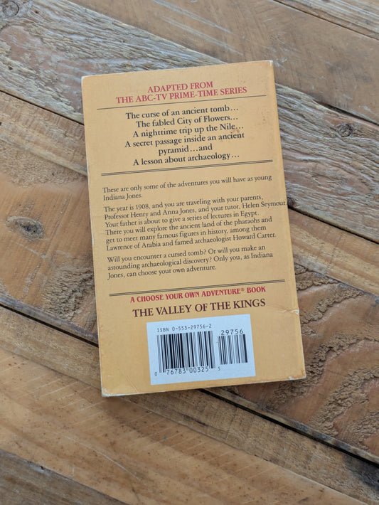 Valley of the Kings (Choose Your Own Adventure: Young Indiana Jones #1) by Richard Brightfield